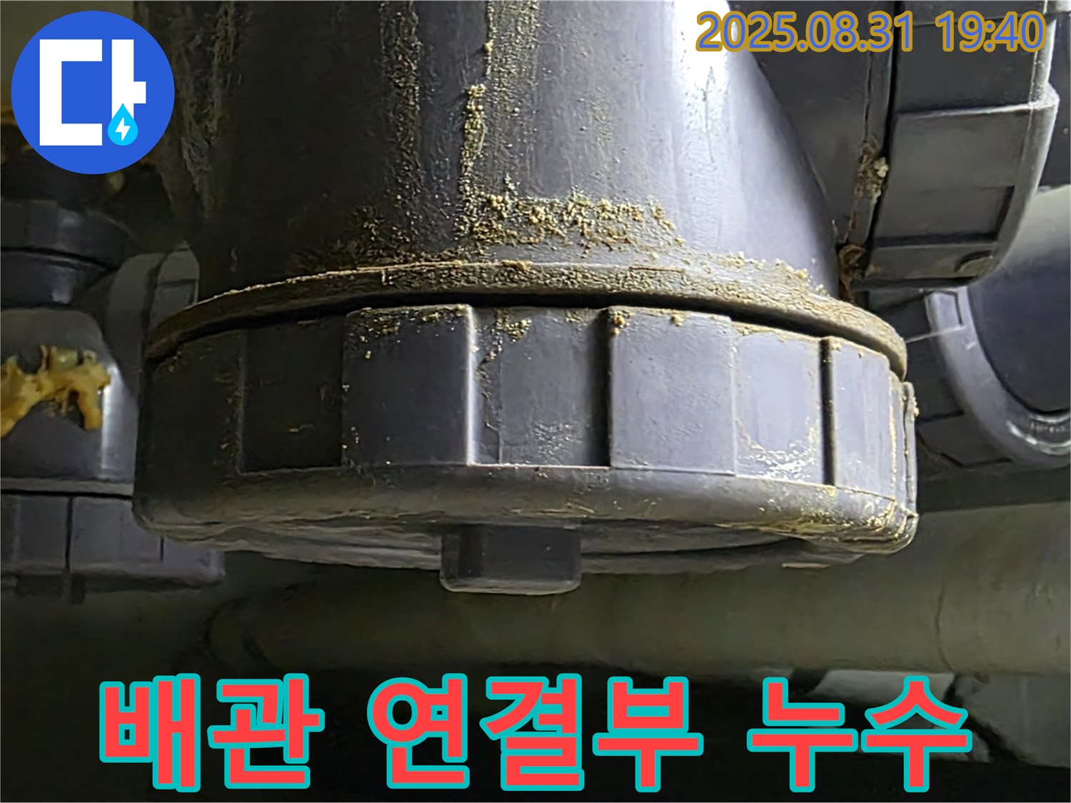 분당구 정자동 누수 - 배관 연결 부위에서 누수 발생