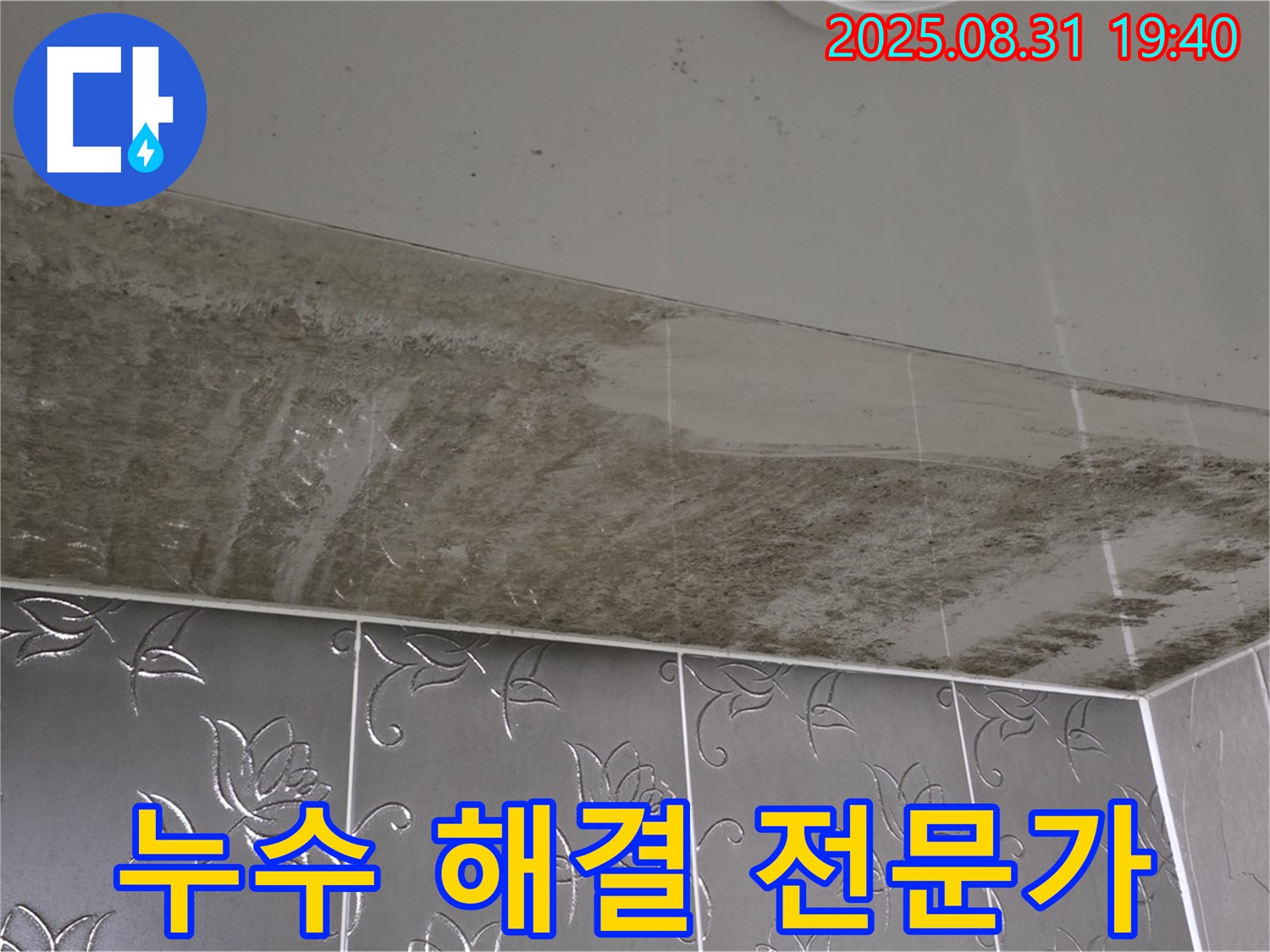 산운동 욕실 누수 - 천장 곰팡이 해결 전문가