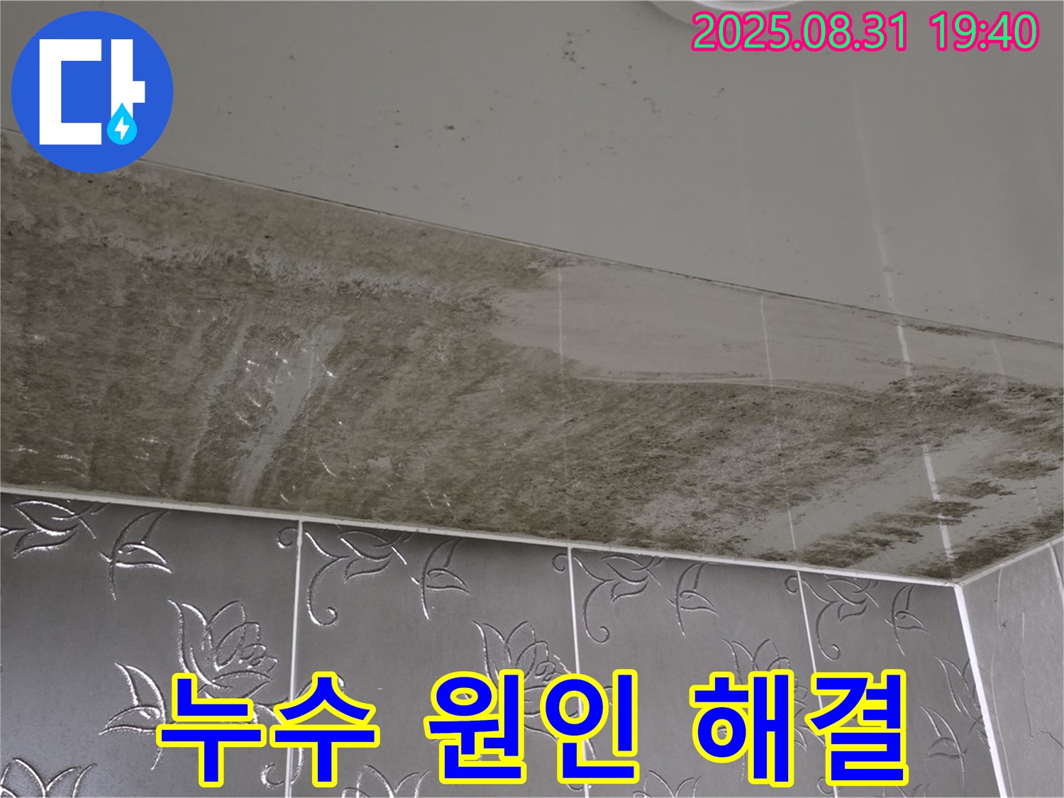 산운동 욕실 천장 곰팡이 - 누수 원인 해결 과정