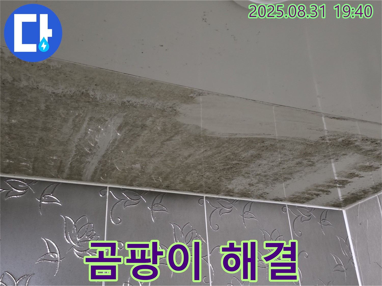 산운동 욕실 천장 곰팡이 - 누수 해결 후 깨끗
