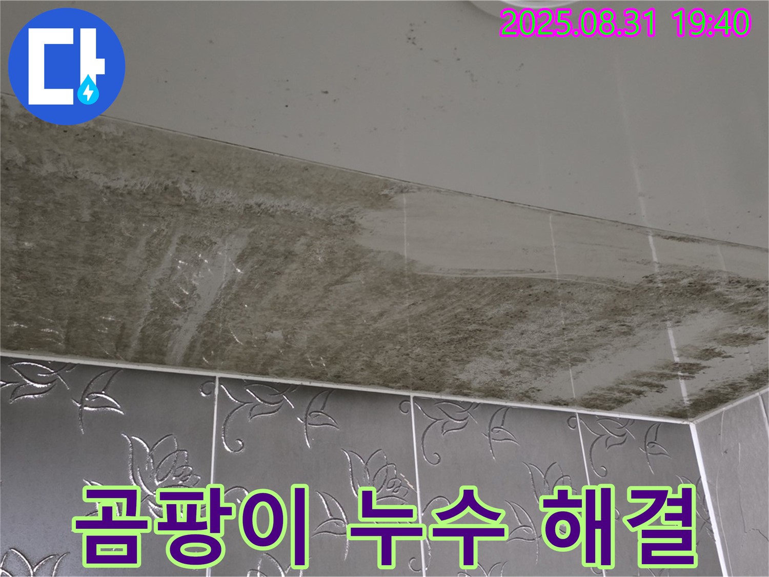 산운동 욕실 천장 곰팡이 - 누수 해결 후 깨끗해진 모습