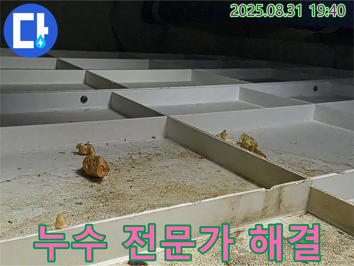 산운마을 누수 - 분당 누수 전문가의 확실한 해결