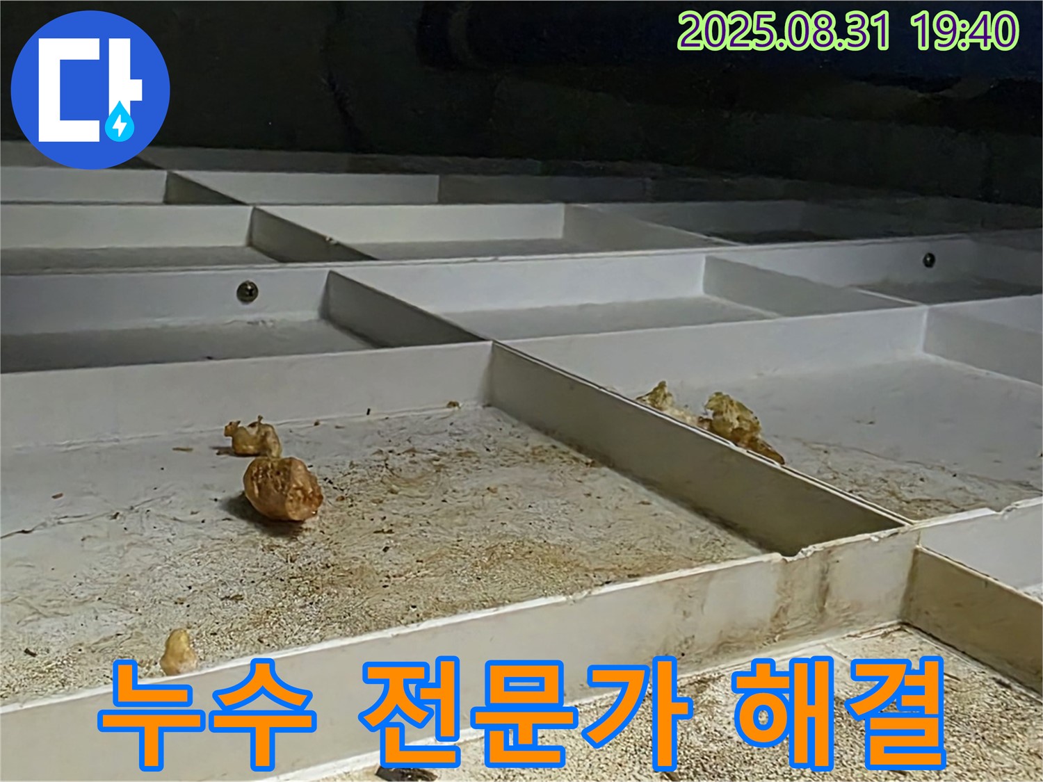 산운마을 누수 - 분당 누수 전문가의 확실한 해결