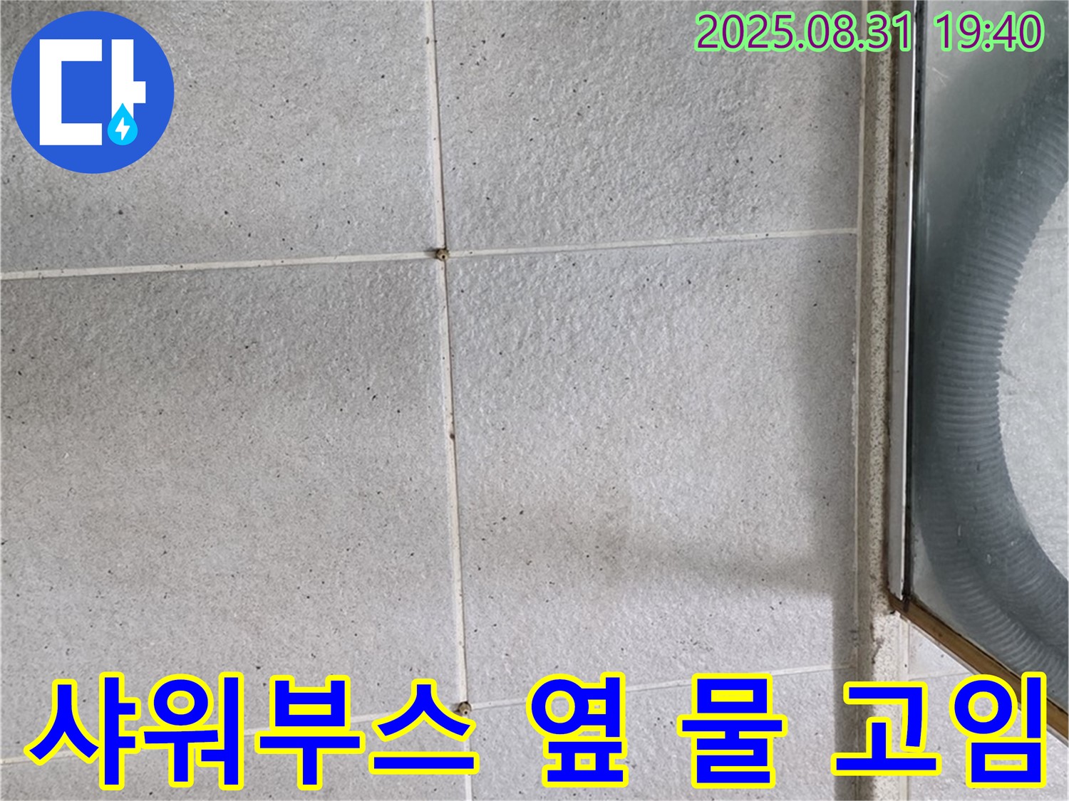 샤워부스 옆 물 고임 - 타일 누수 의심, 전문가에게 문의하세요!