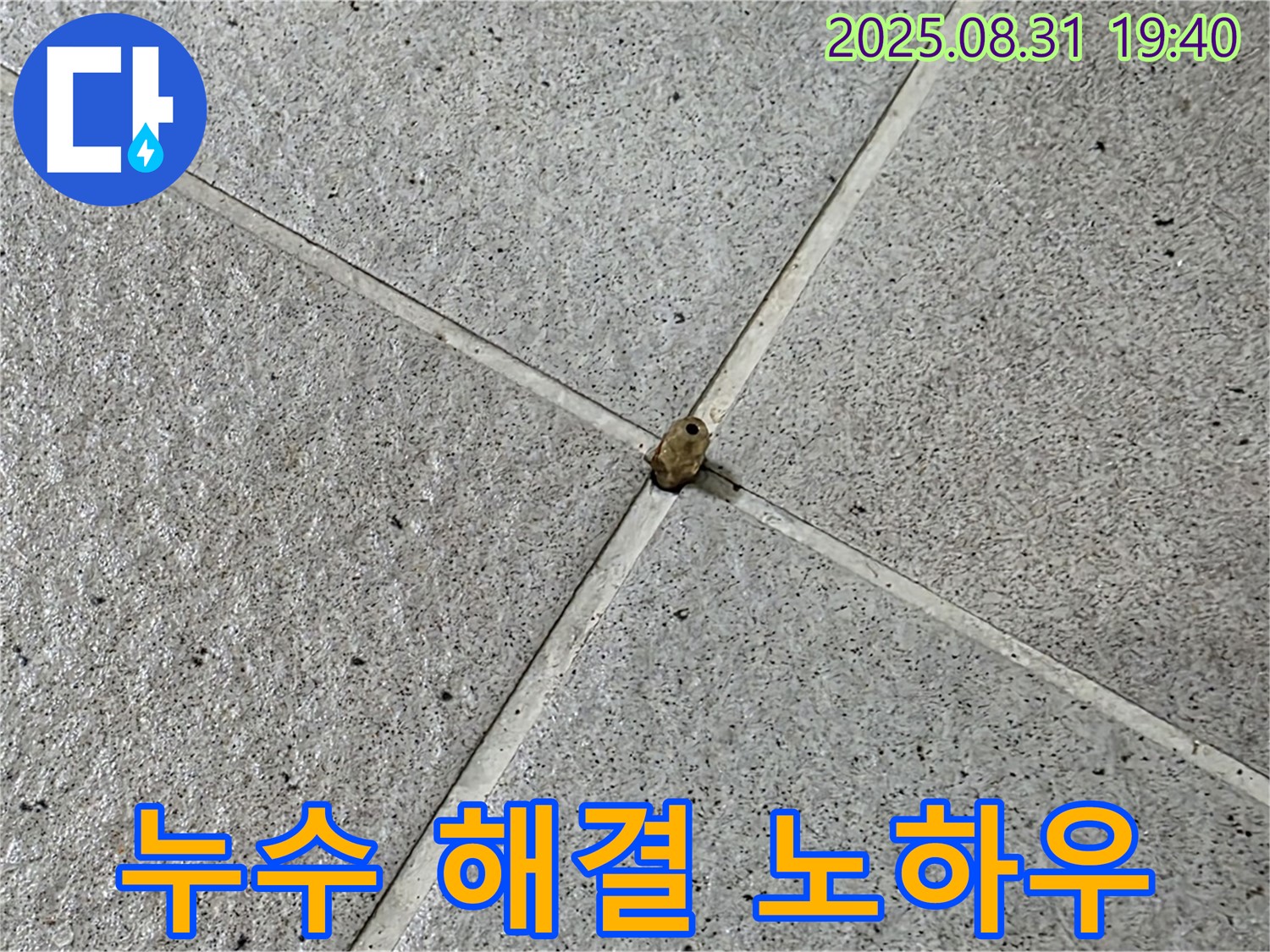 성남 분당 누수 - 베테랑 기술자의 누수 해결 노하우를 경험하세요.