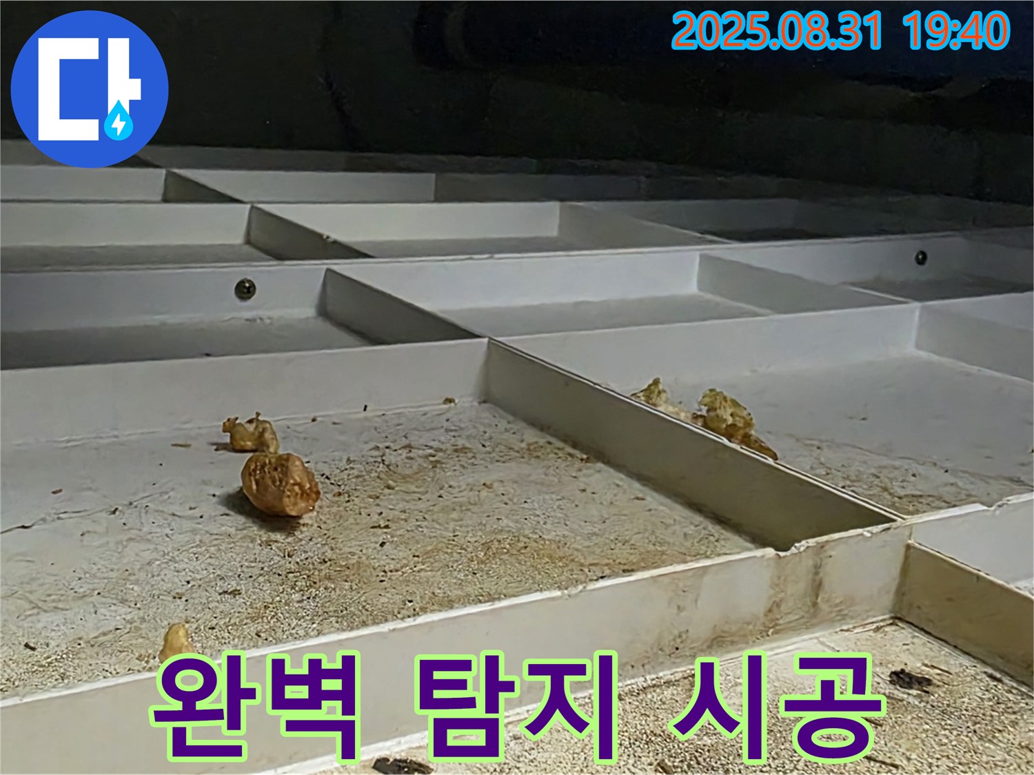 성남 분당 산운로 누수 - 완벽한 탐지와 책임 시공
