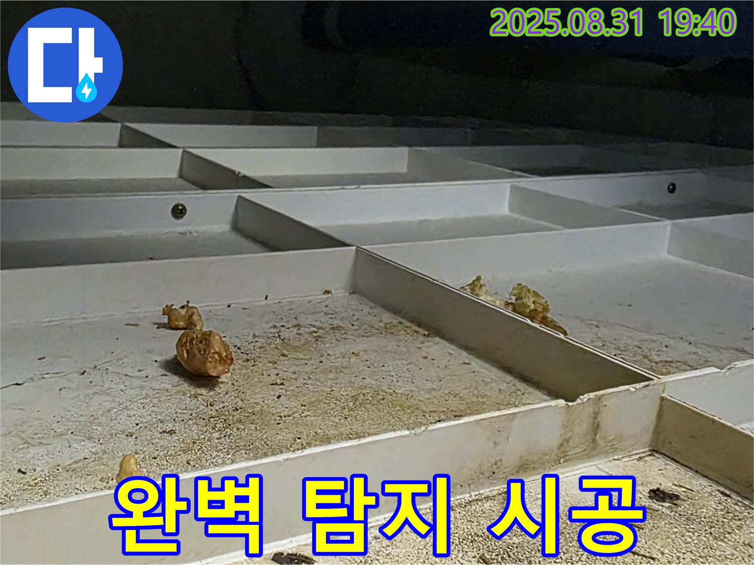 성남 분당 산운로 누수 - 완벽한 탐지와 책임 시공 과정
