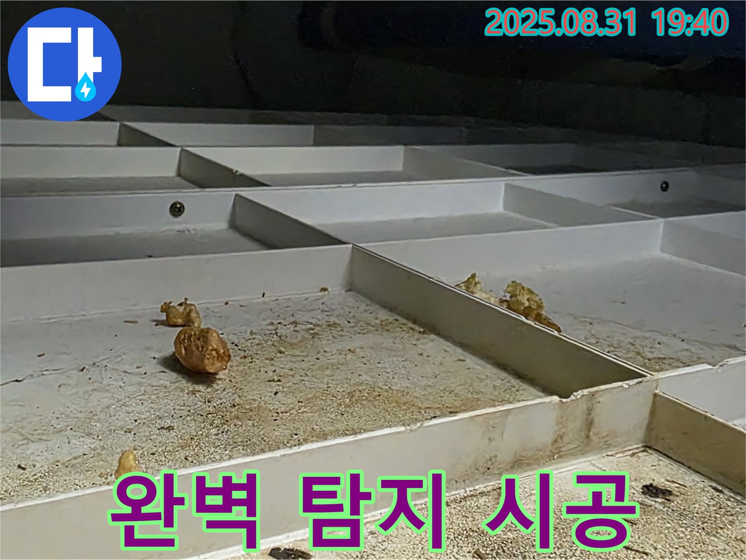 성남 분당 산운로 누수 - 완벽한 탐지와 책임 시공 과정