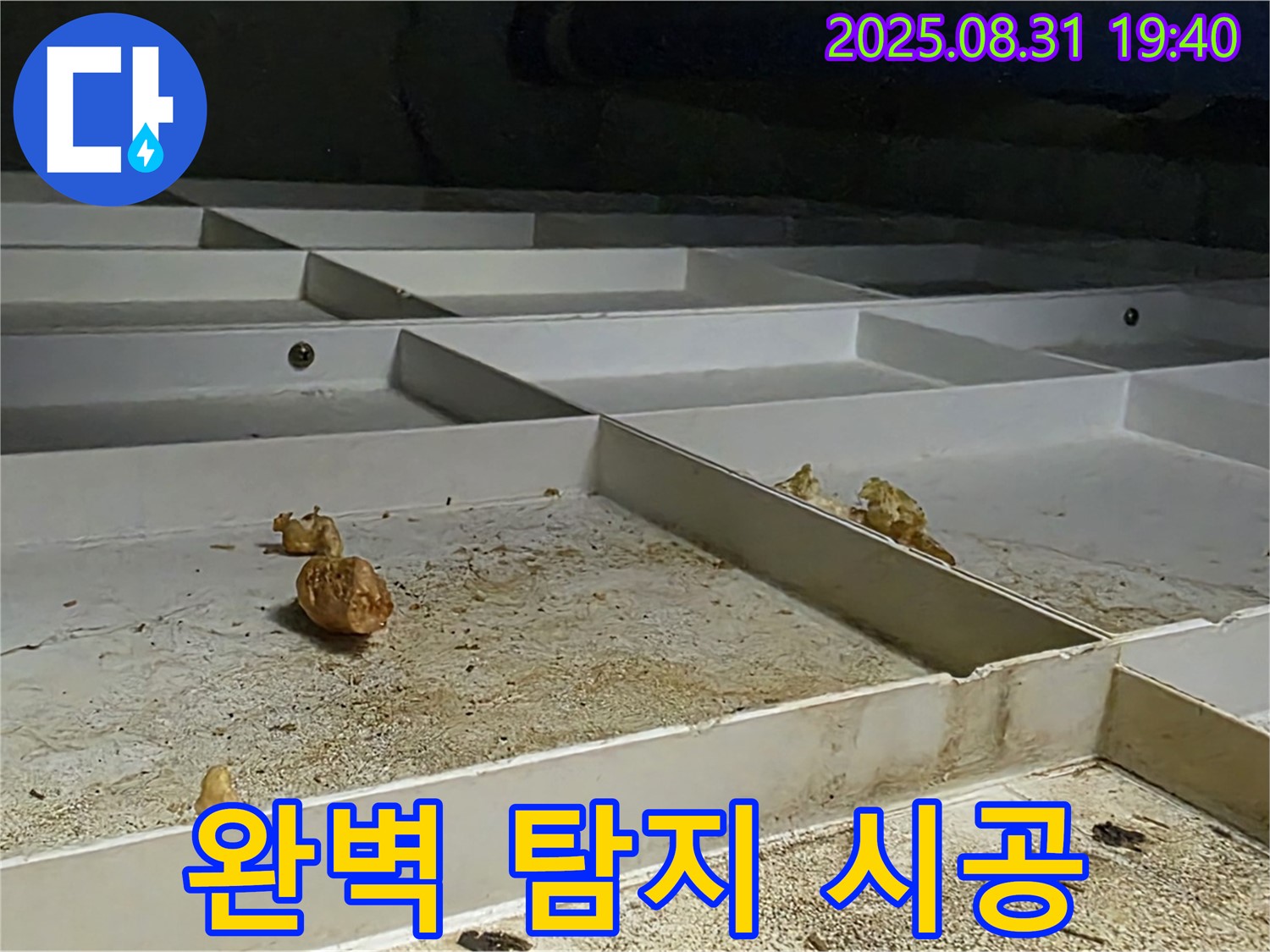 성남 분당 정자동 누수 - 완벽한 탐지와 책임 시공 과정