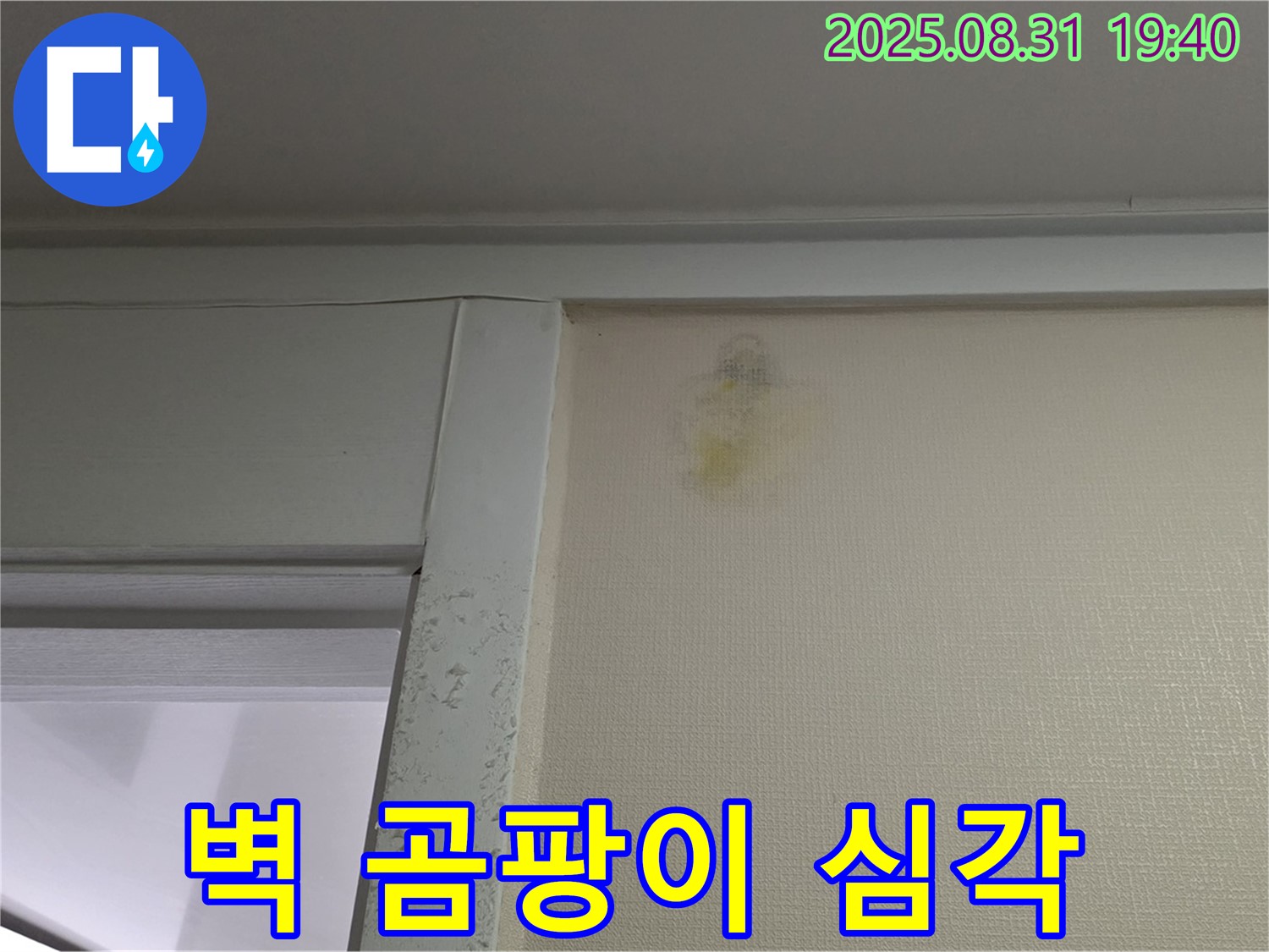 심각한 벽 곰팡이 - 분당구 산운로 누수탐지 - 곰팡이 제거