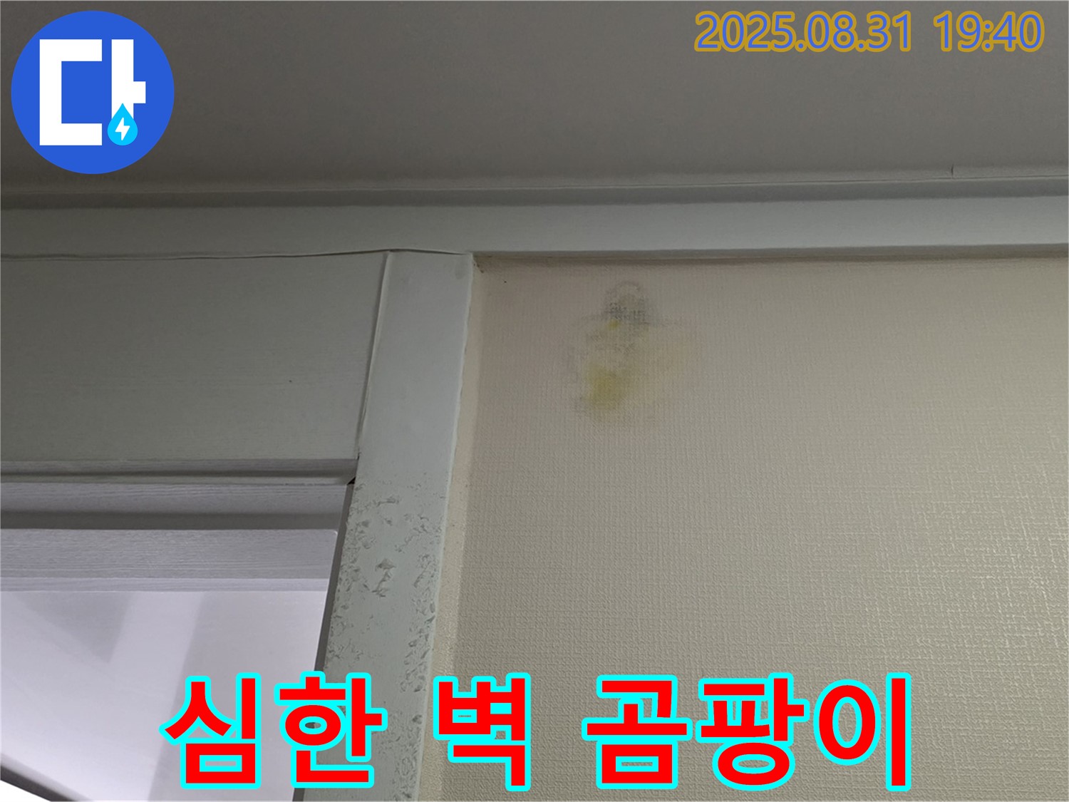 심한 벽 곰팡이 - 분당 산운로 누수 - 곰팡이 제거 시급