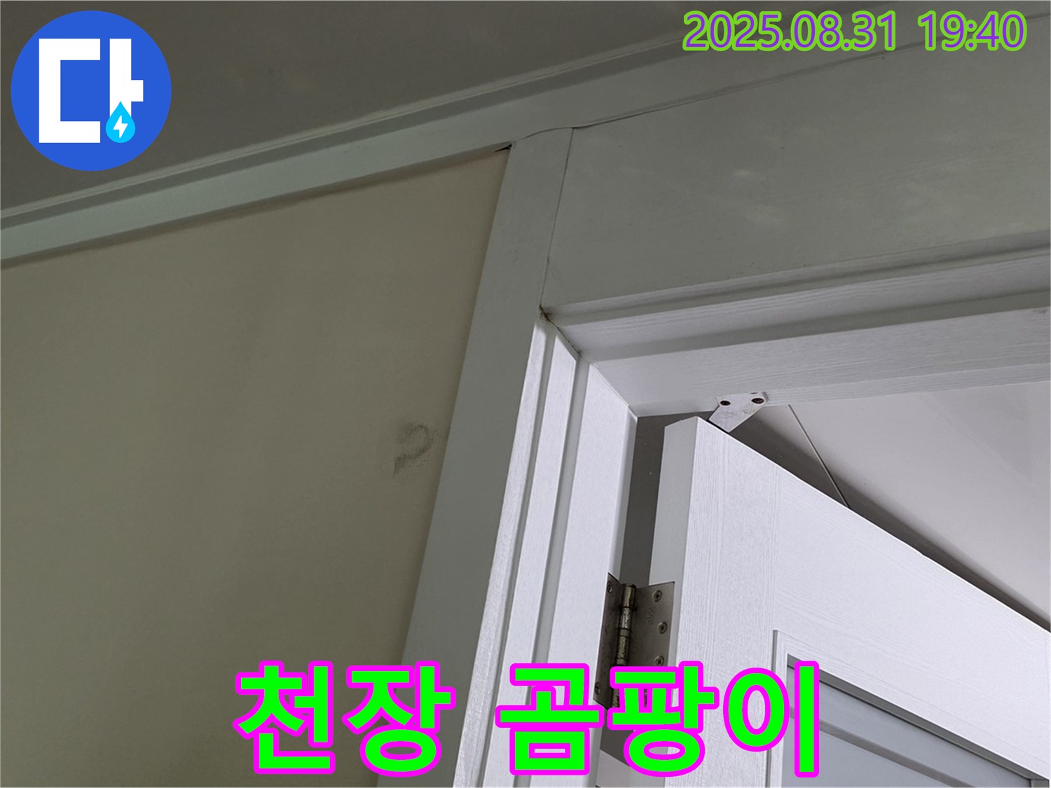 천장 곰팡이 - 문 위쪽 천장에 곰팡이가 심하게 발생했습니다.