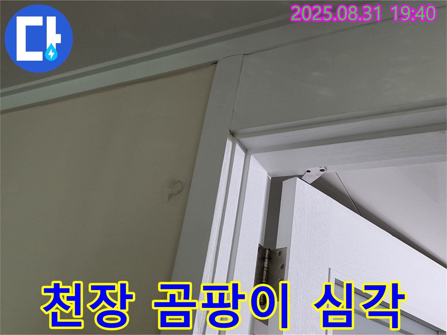 천장 곰팡이 심각 - 문 위쪽 천장에 곰팡이가 심하게 번져 있습니다.