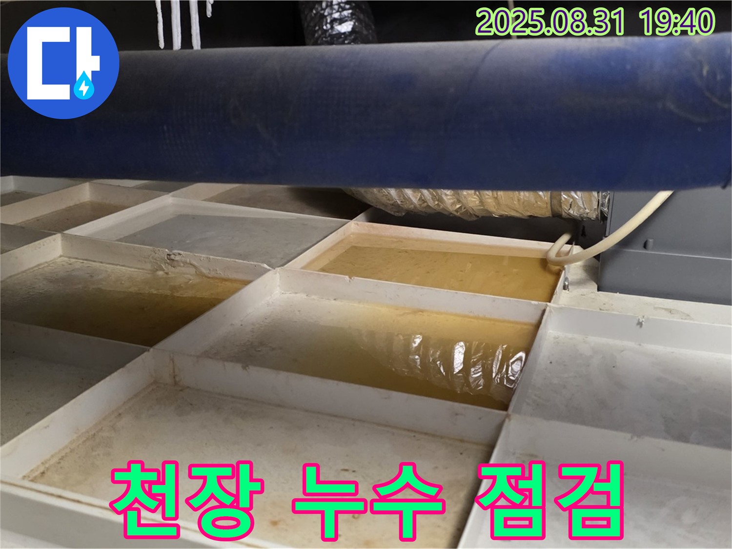 천장 누수 점검 - 꼼꼼하게 누수 원인 분석 중