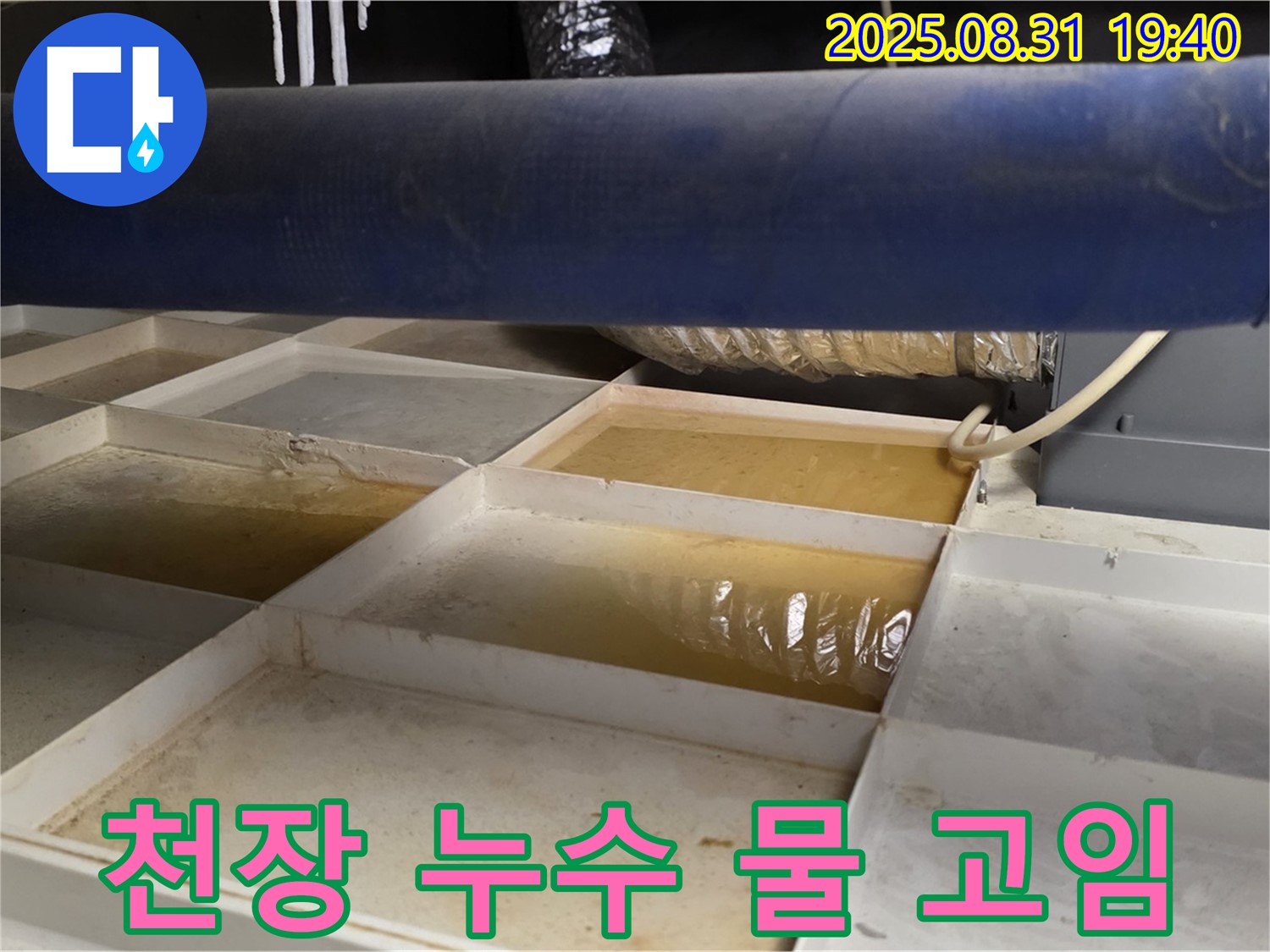 천장 누수 - 트레이에 고인 물, 누수 상황 심각