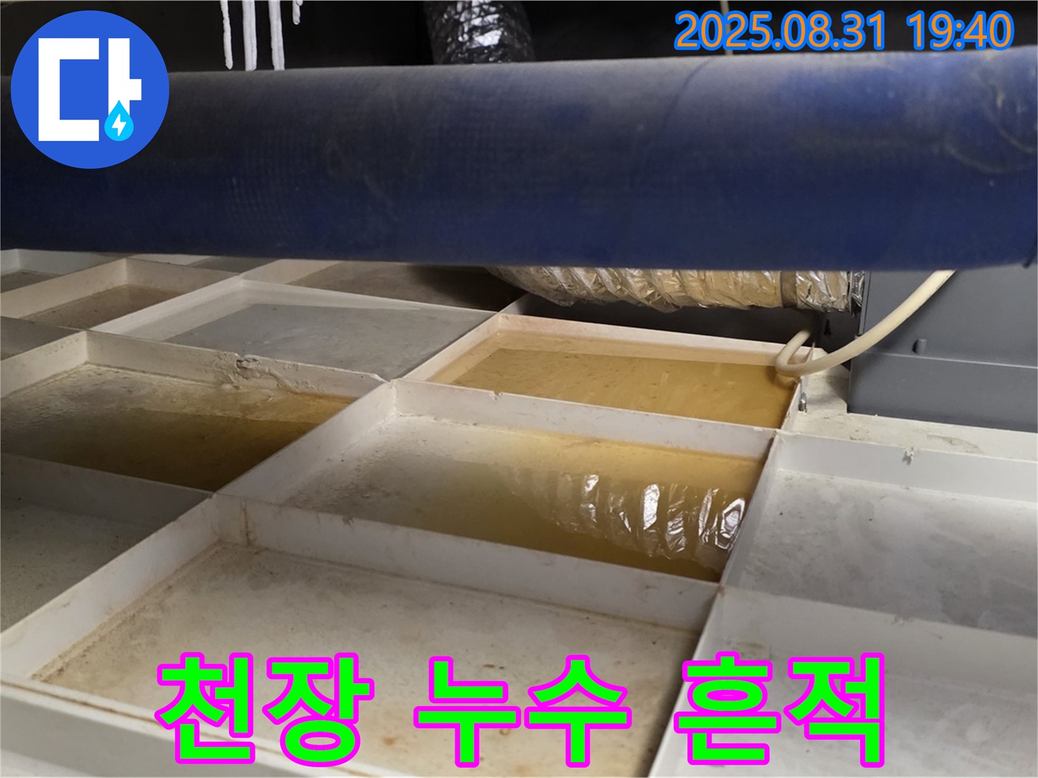 천장 누수 흔적 - 트레이에 고인 물, 누수 의심