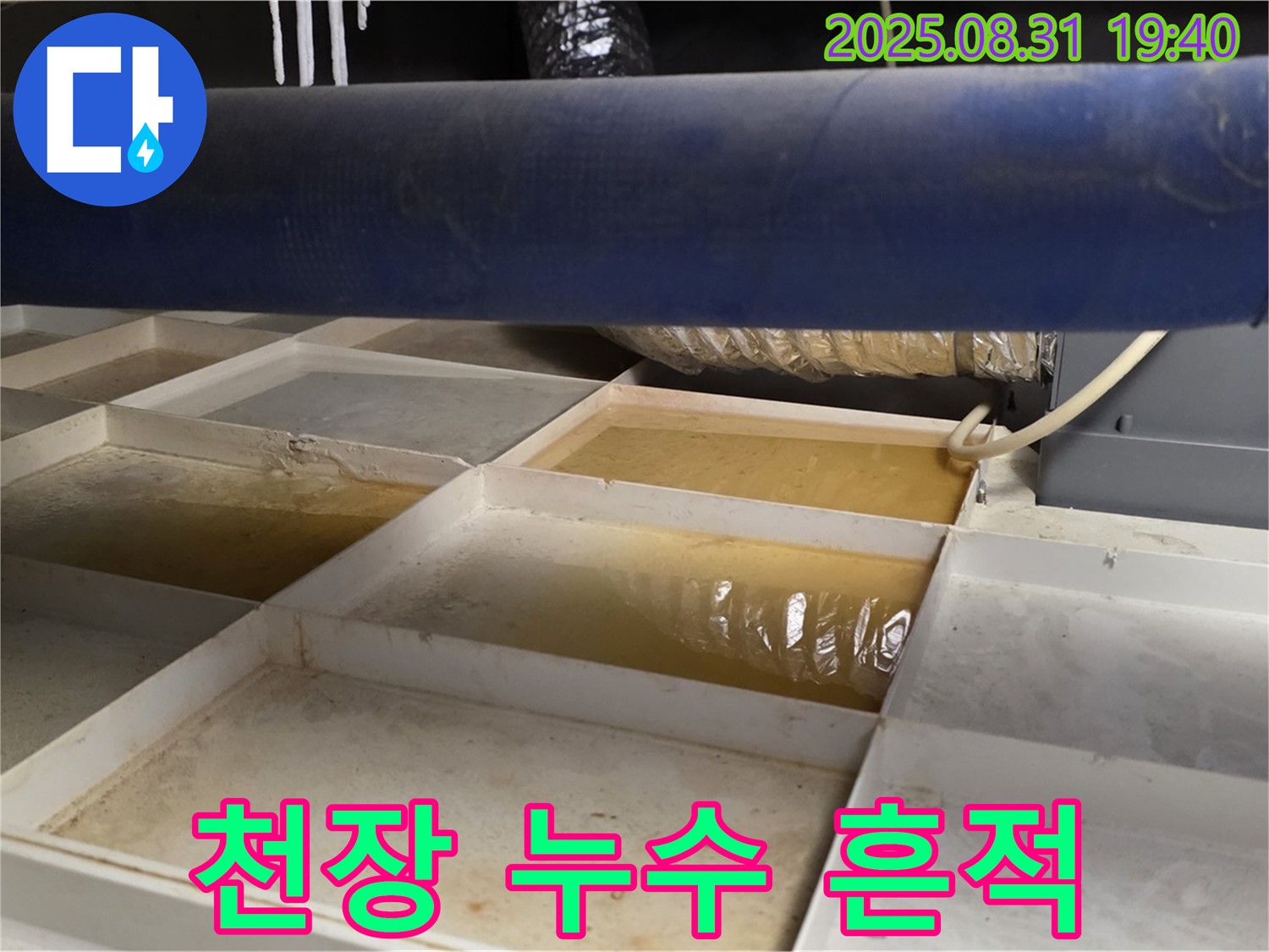 천장 누수 흔적 - 트레이에 고인 물 - 누수 의심