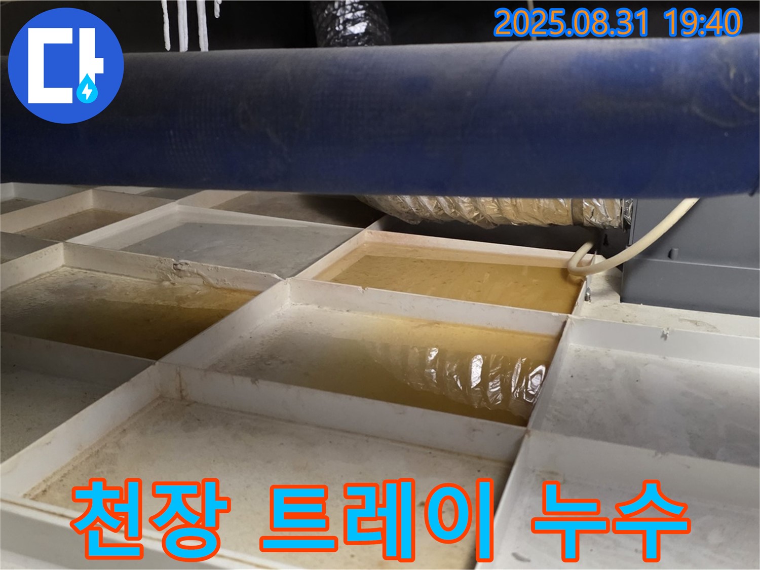 천장 트레이 누수 - 고인 물 확인 - 누수 해결