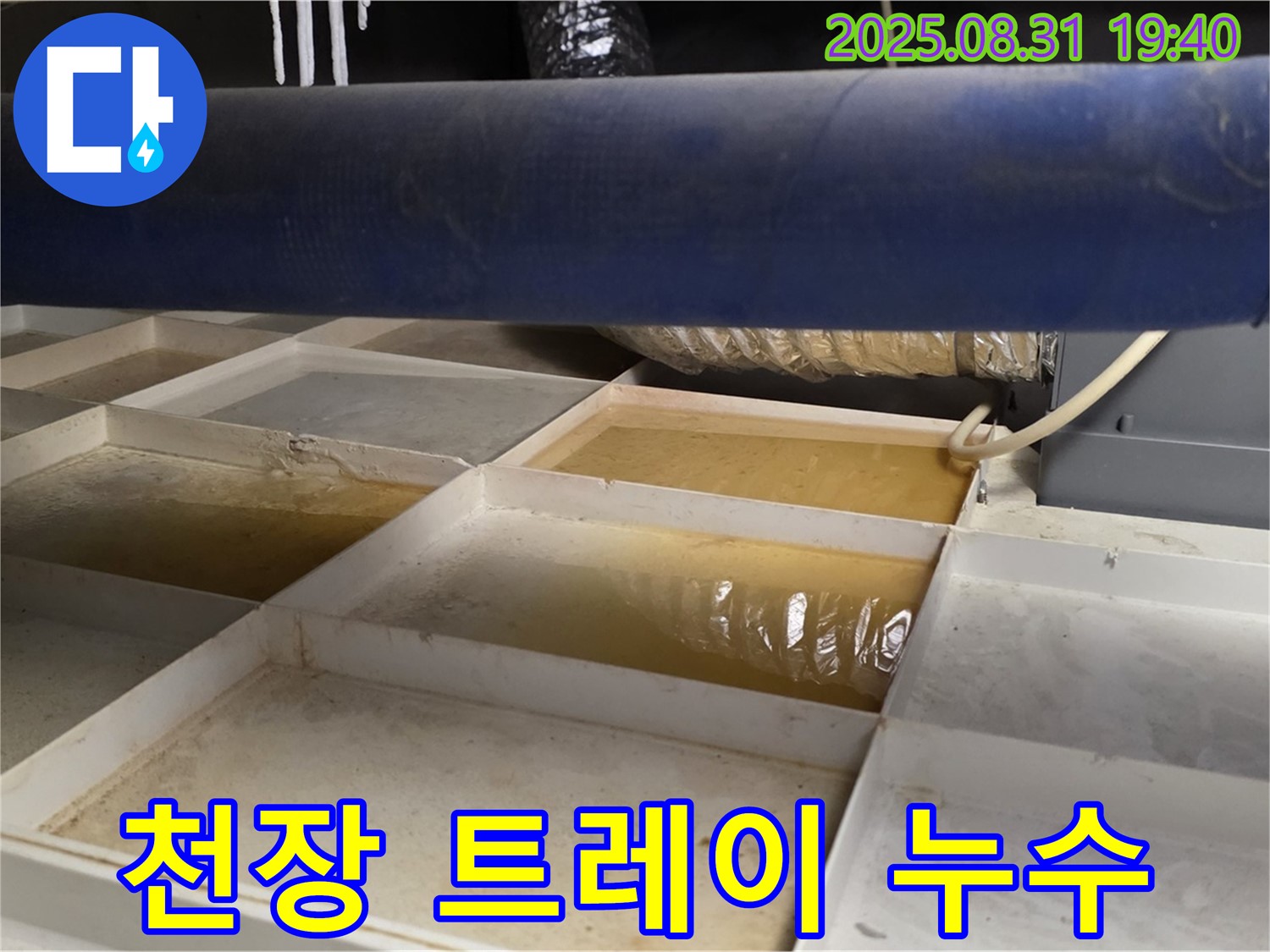 천장 트레이 누수 - 고인 물 확인 - 누수 해결