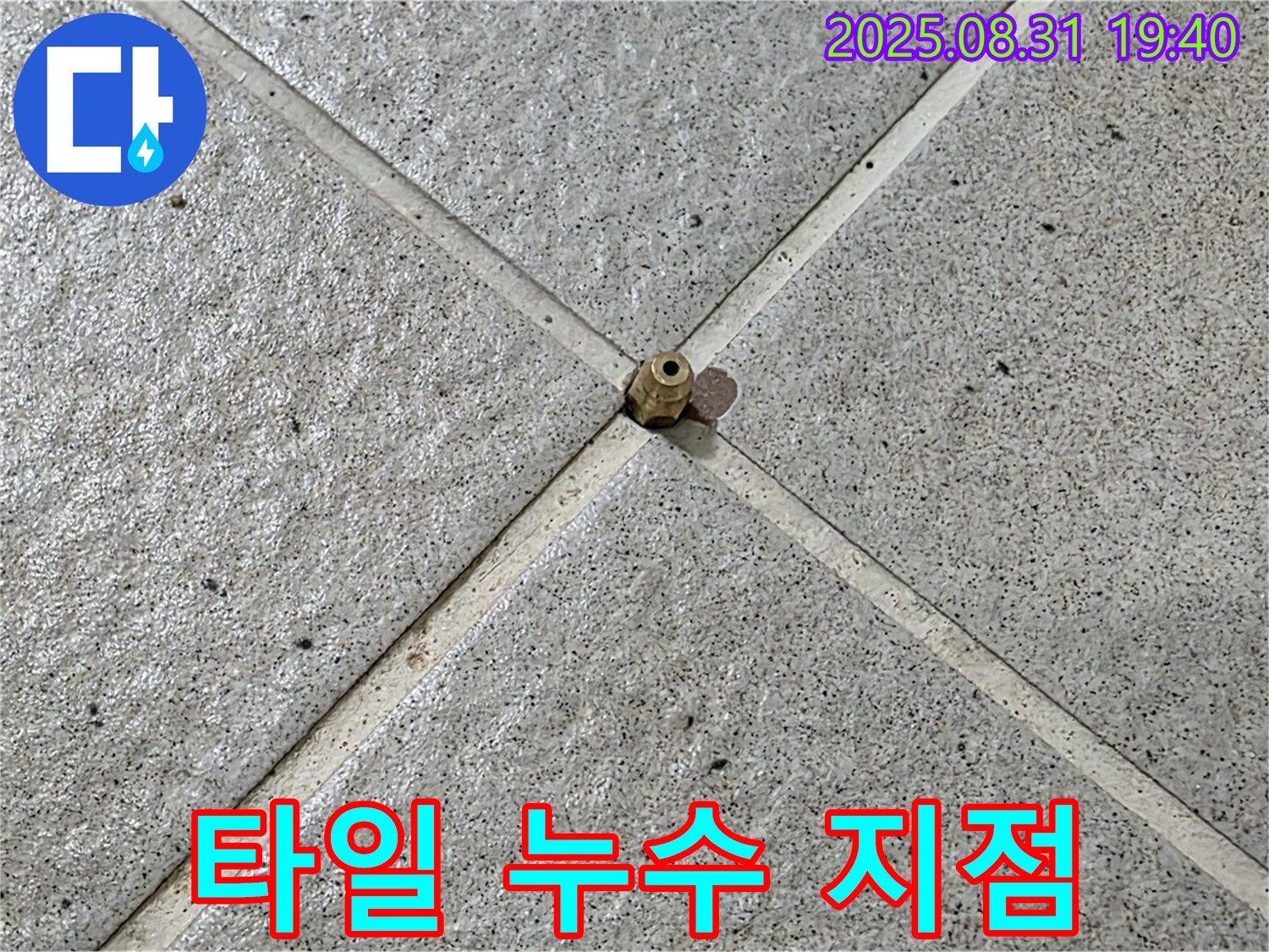 타일 누수 의심 지점 - 전문적인 누수 탐지