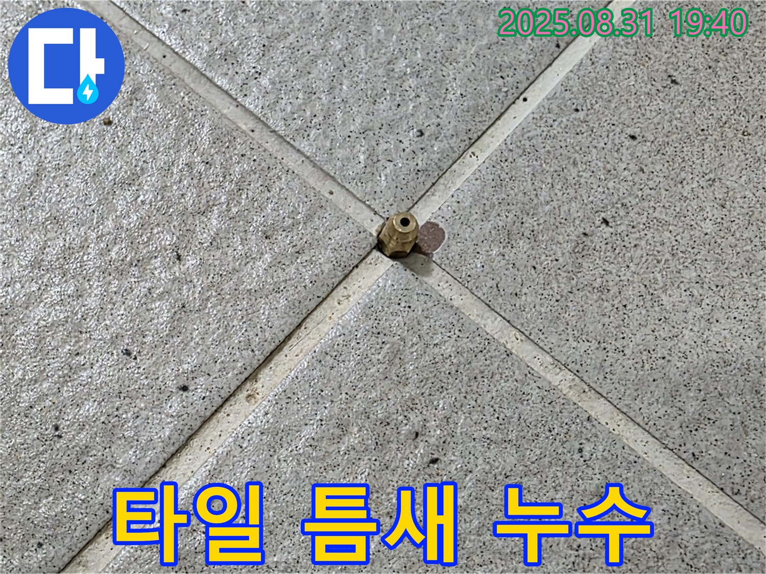 타일 틈새 누수 - 꼼꼼한 점검과 합리적인 견적