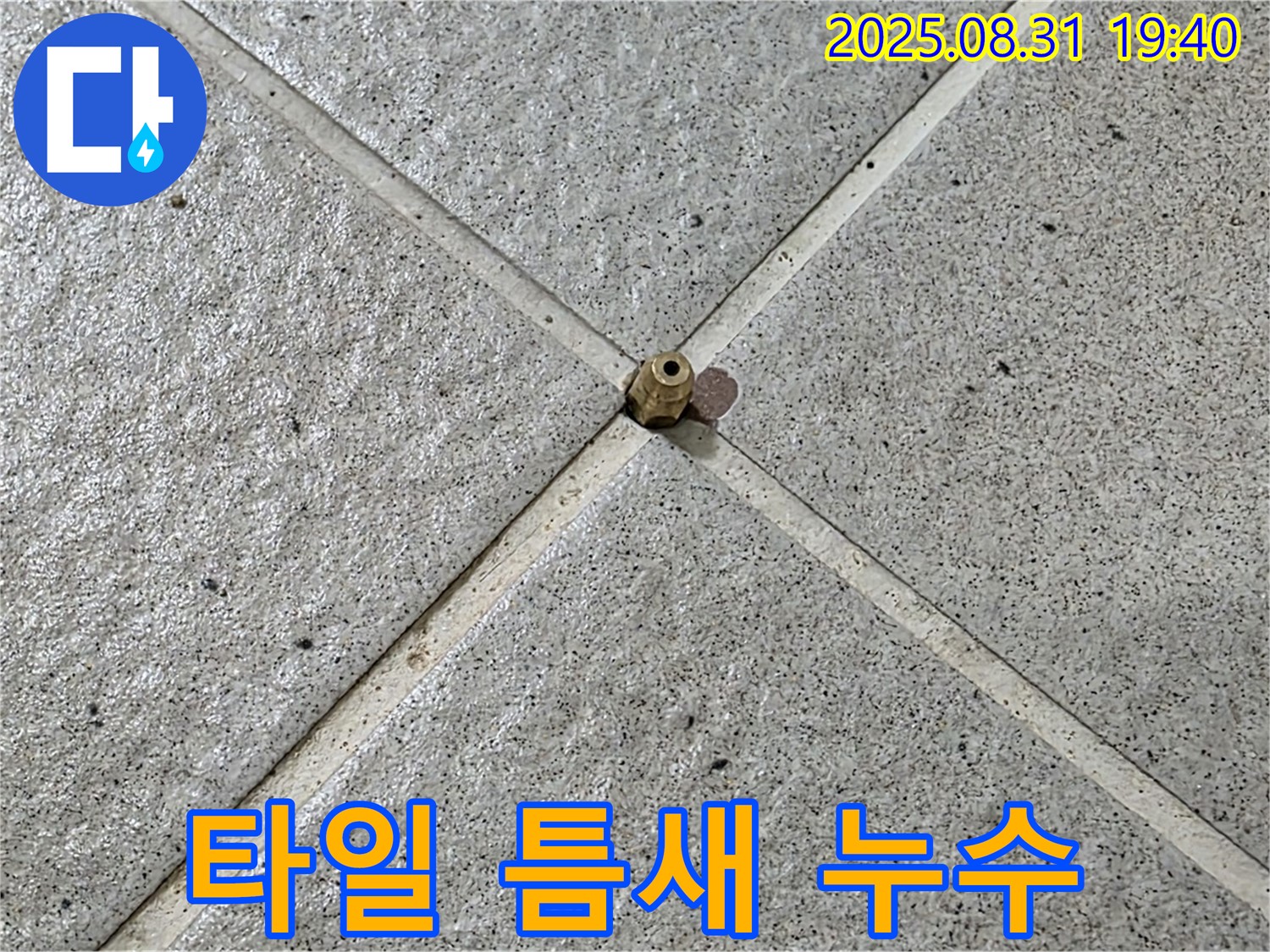 타일 틈새 누수 - 전문 장비로 정확하게