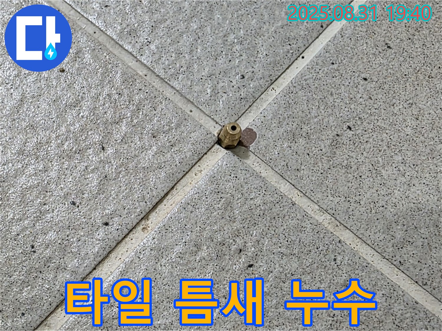 타일 틈새 누수 - 최첨단 장비로 정밀 탐지