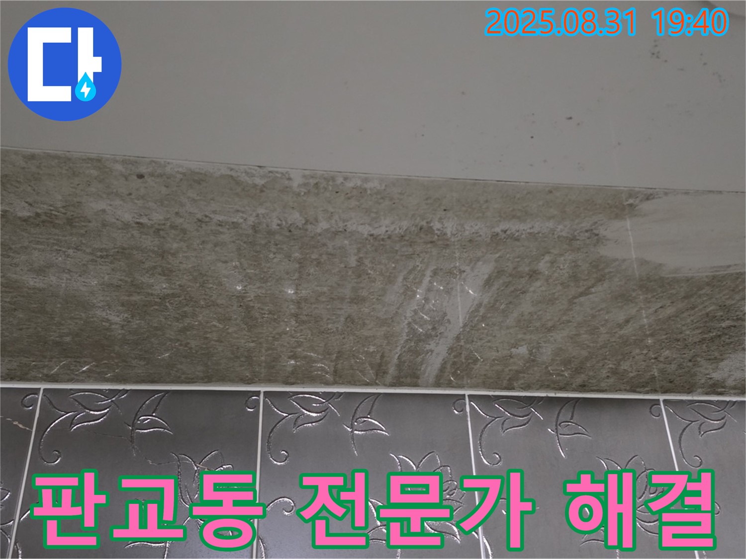 판교동 욕실 누수 - 곰팡이 이제 전문가에게 맡기세요!