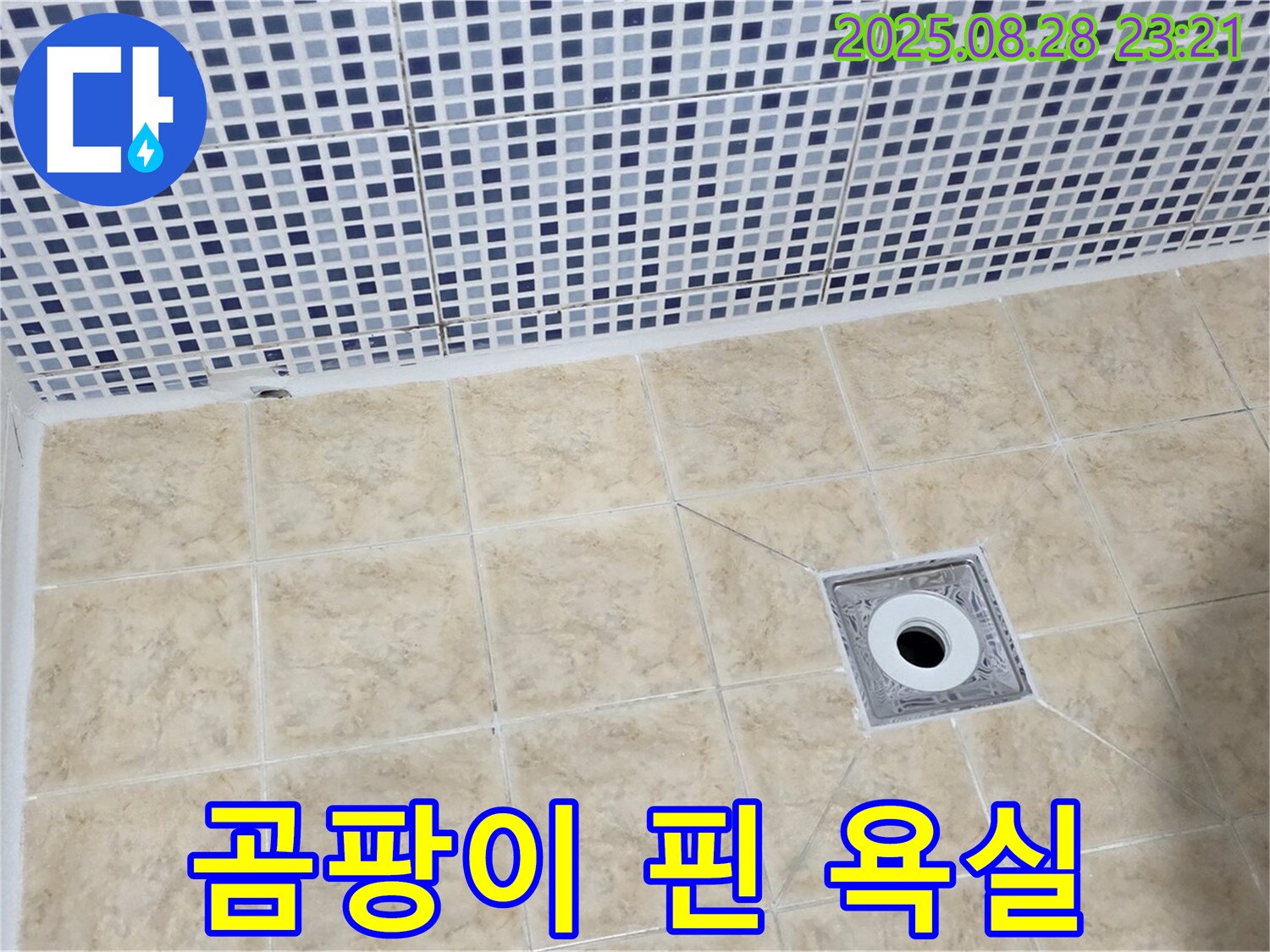 곰팡이 핀 욕실 - 누수 해결이 우선
