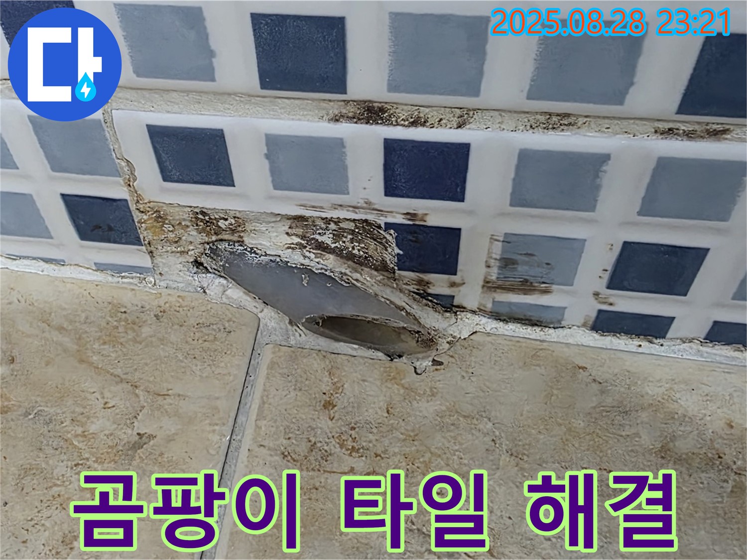 곰팡이로 뒤덮인 타일 - 완벽 해결