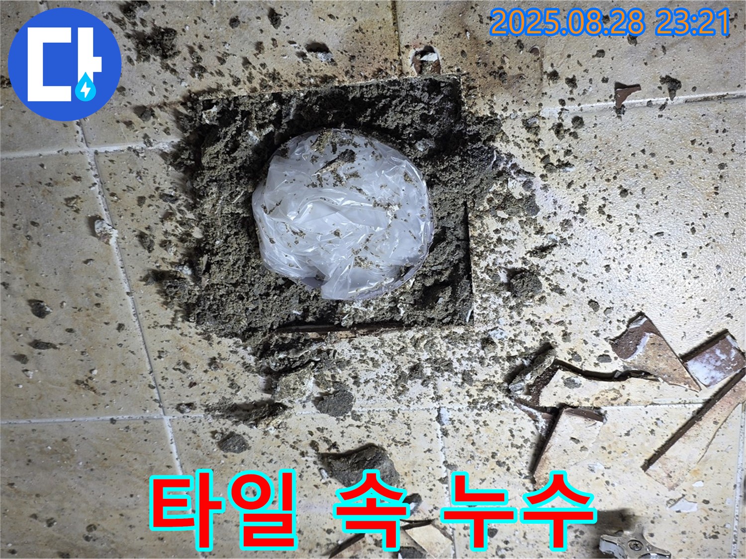 깨진 타일 속 누수 - 완벽한 해결 약속