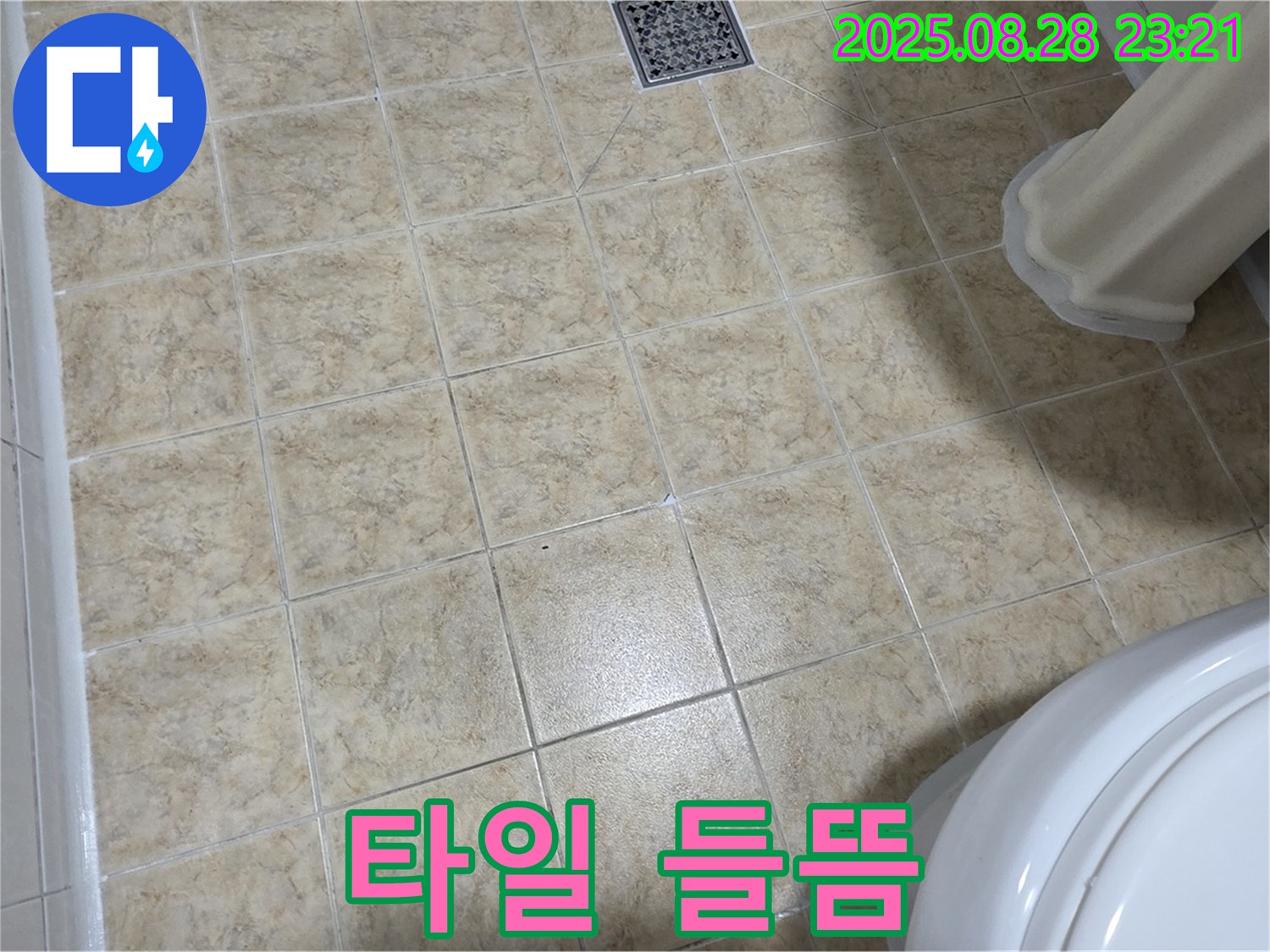들뜬 타일 - 전문가의 완벽한 해결