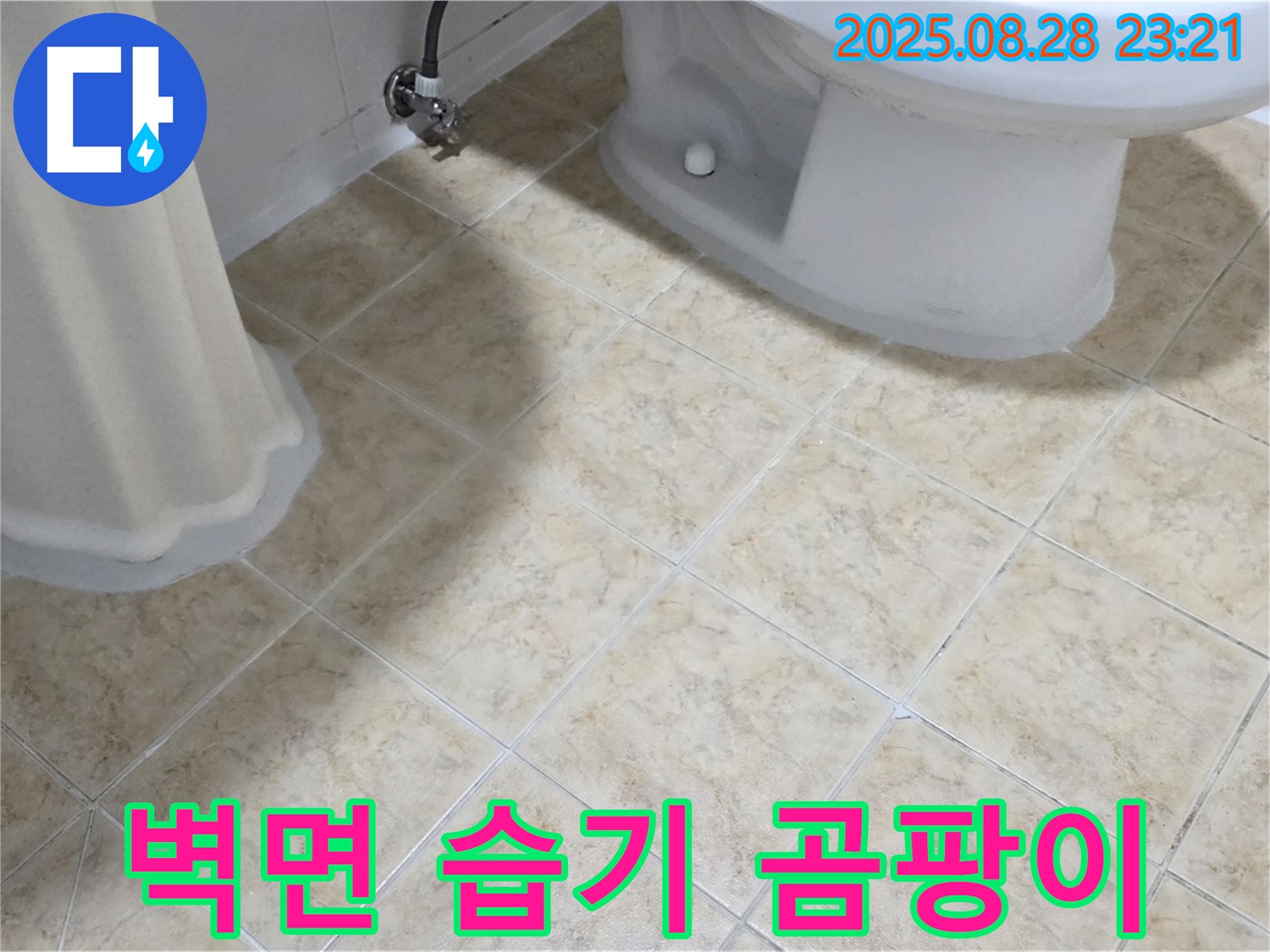 벽면 - 습기 - 곰팡이 - 누수 의심
