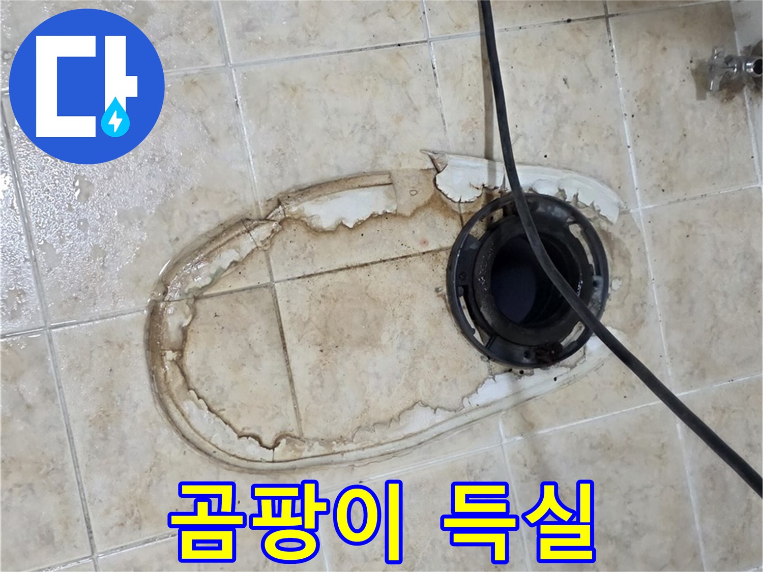 변기 누수 - 곰팡이 득실득실