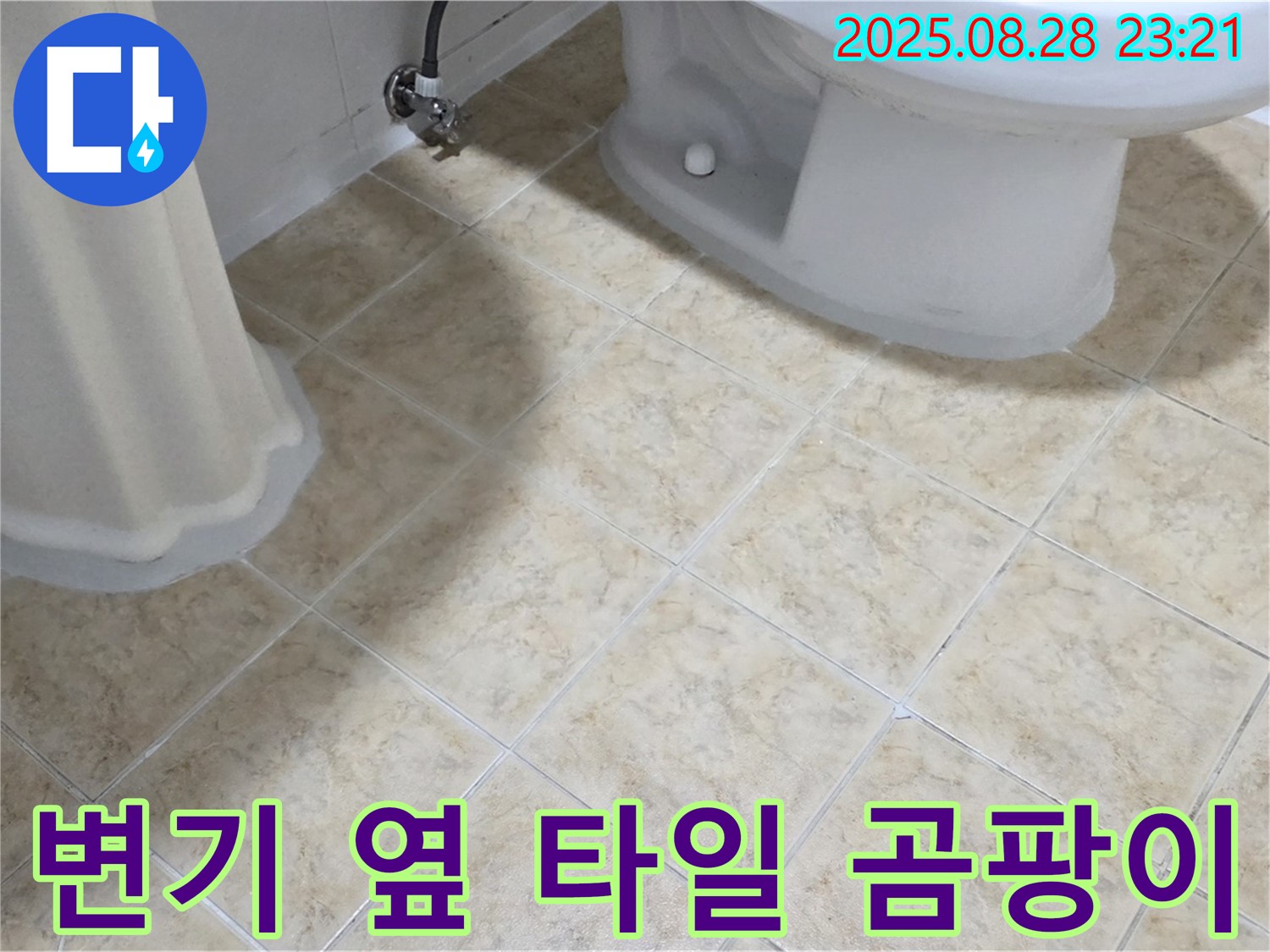변기 옆 - 타일 틈새 - 곰팡이