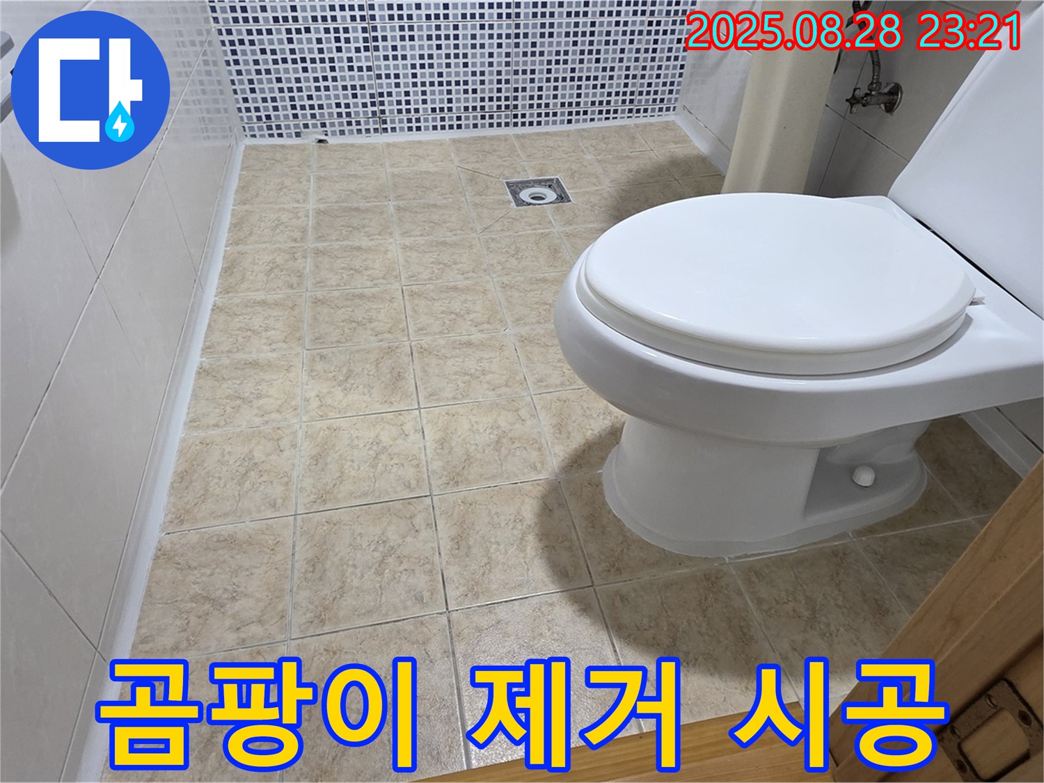 변기 주변 곰팡이 - 습기 제거와 누수 해결!