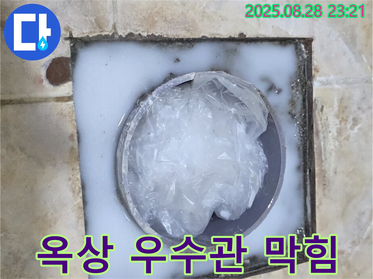 옥상 우수관 막힘 - 낙엽 제거로 해결