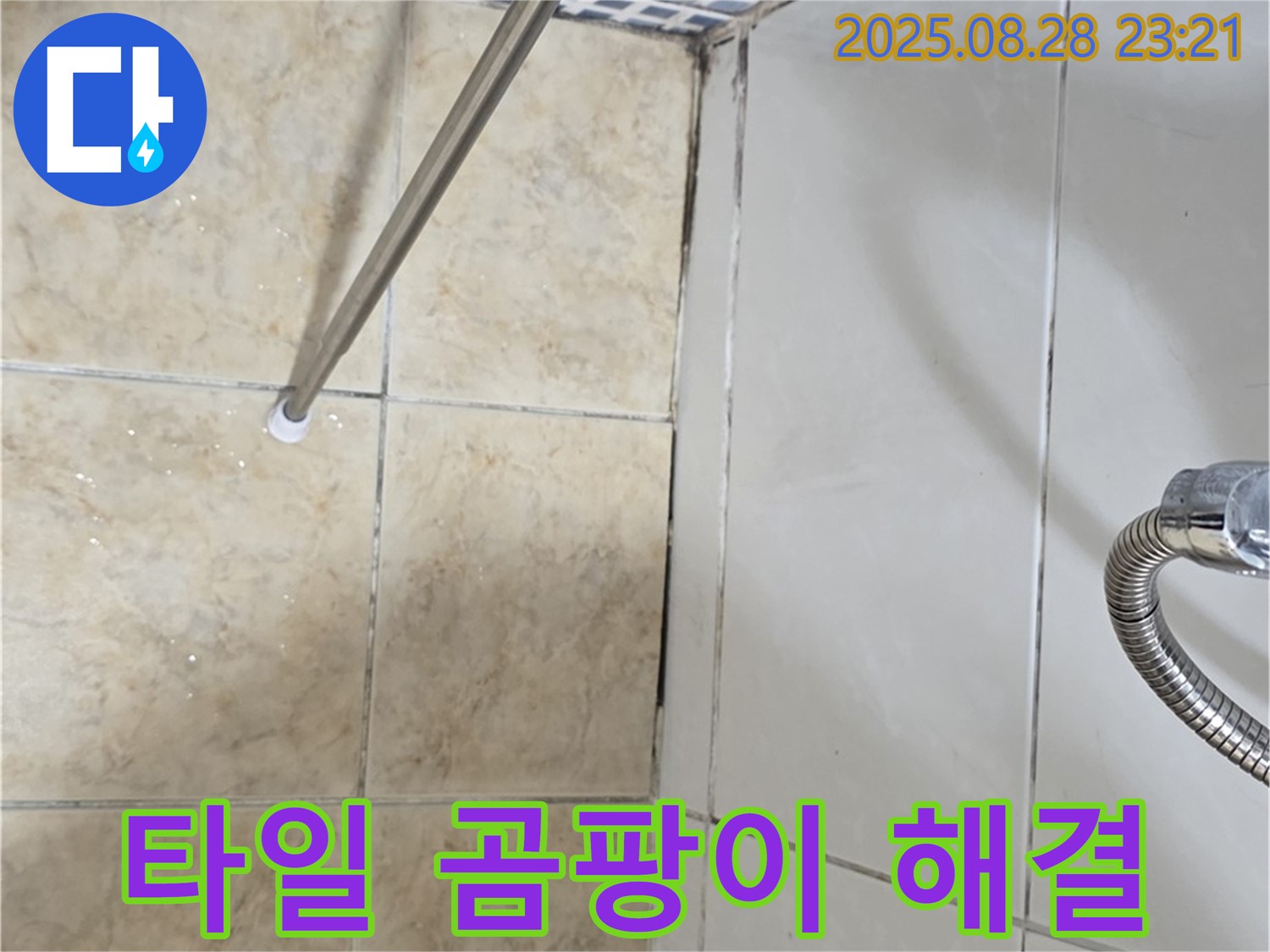 욕실 타일 곰팡이 - 곰팡이 깨끗하게 해결