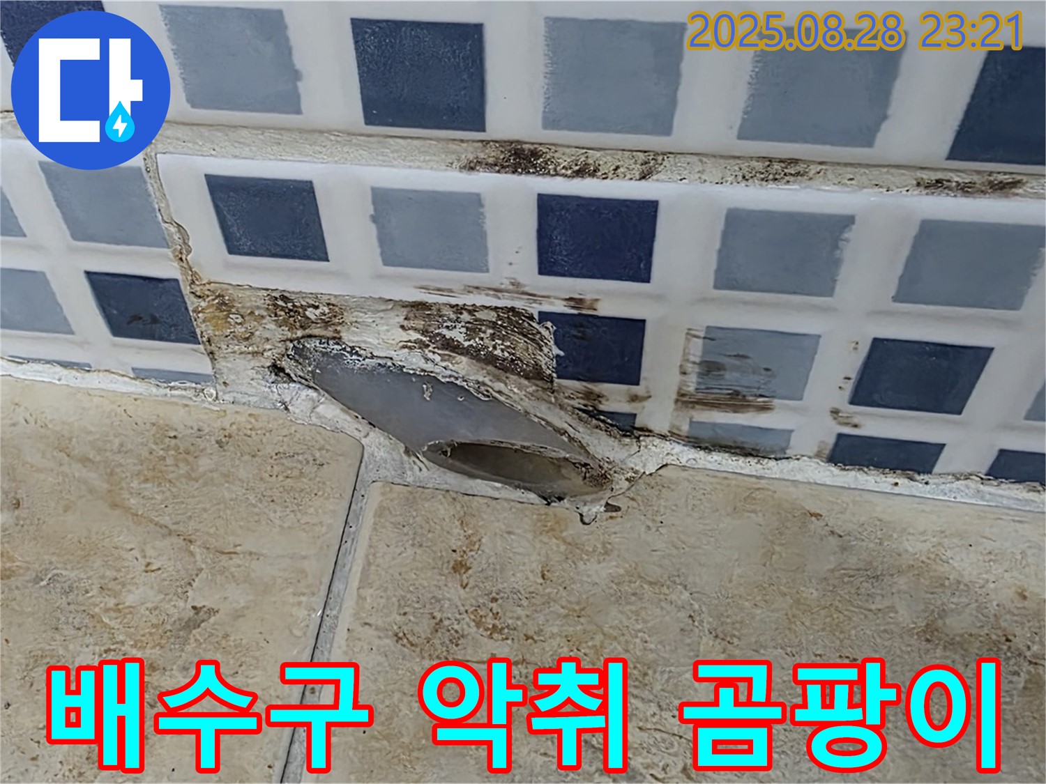 욕조 배수구 주변 악취 - 누수와 곰팡이