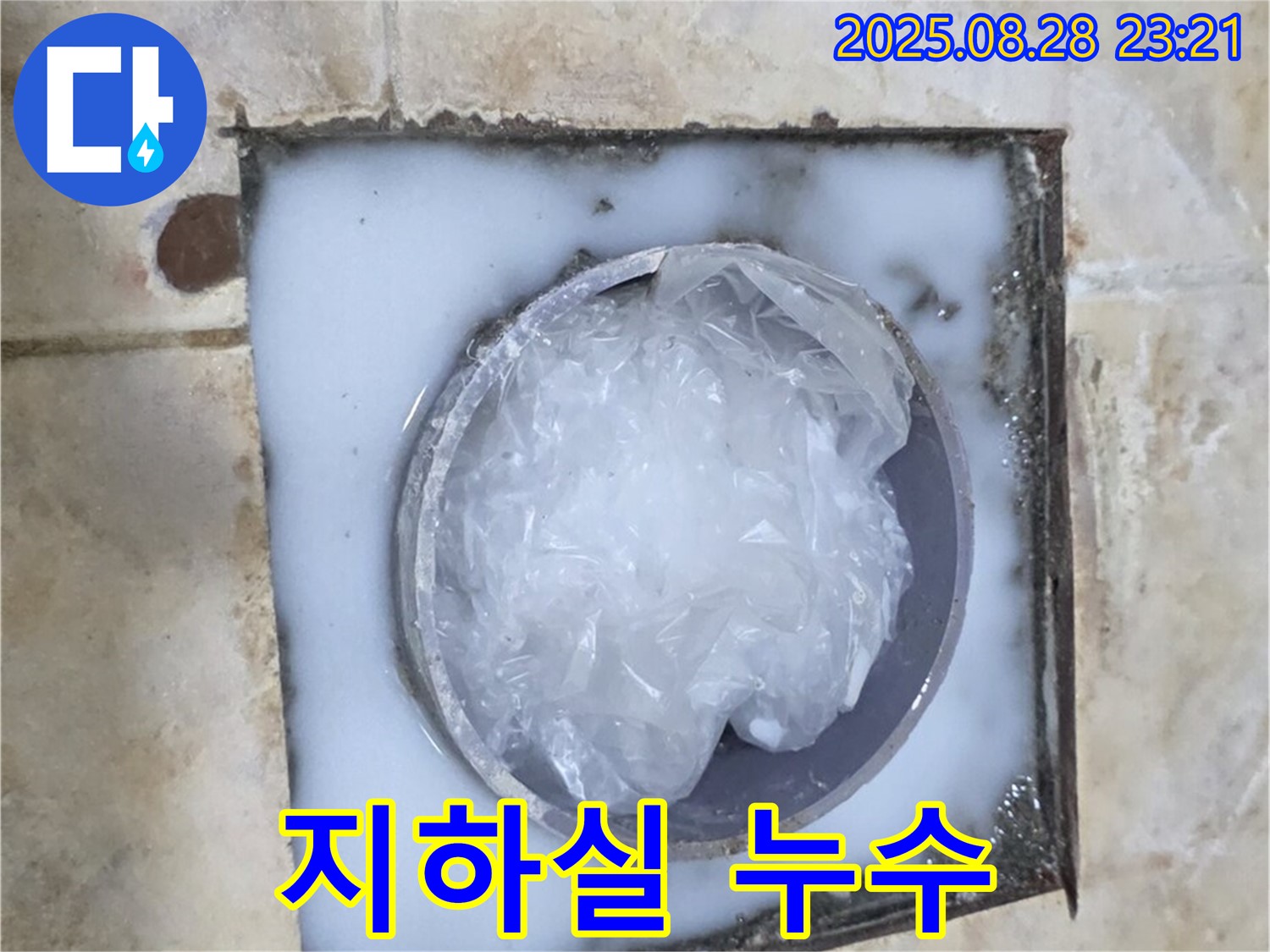 지하실 누수 - 습기와 곰팡이 문제 해결