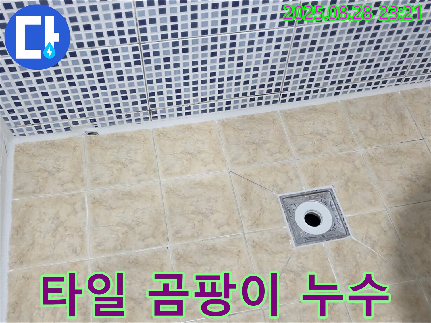 타일 곰팡이 - 누수의 위험 신호