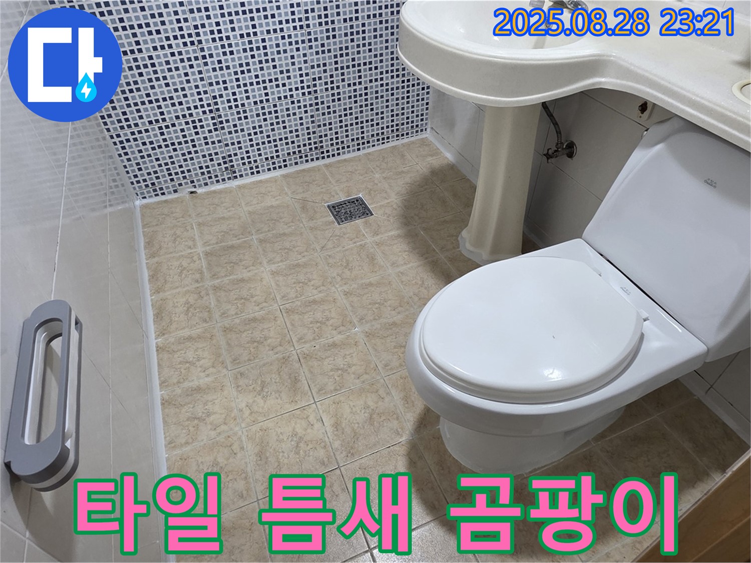 타일 틈새 곰팡이 - 누수 확인