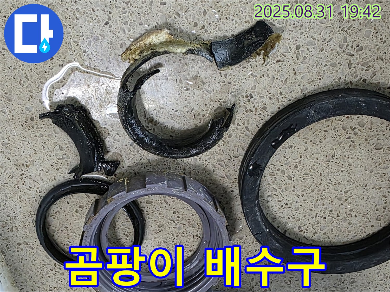 곰팡이 핀 싱크대 배수구 - 비위생적