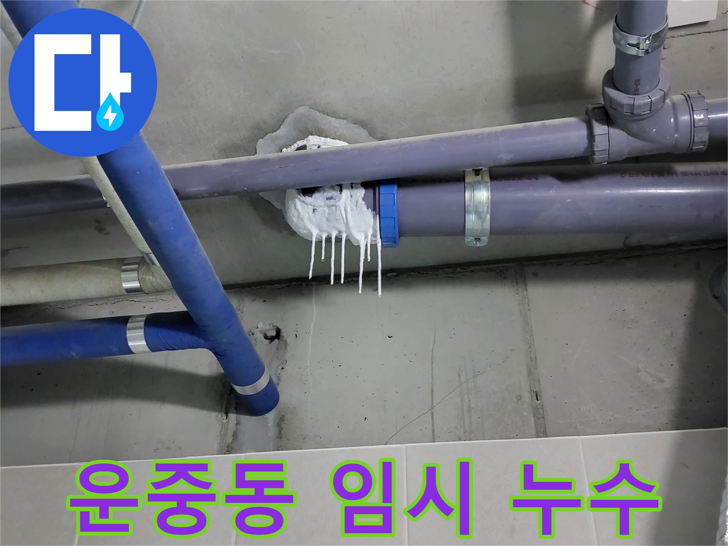 운중동 하수 배관 누수 - 임시 조치 부위에서 재발