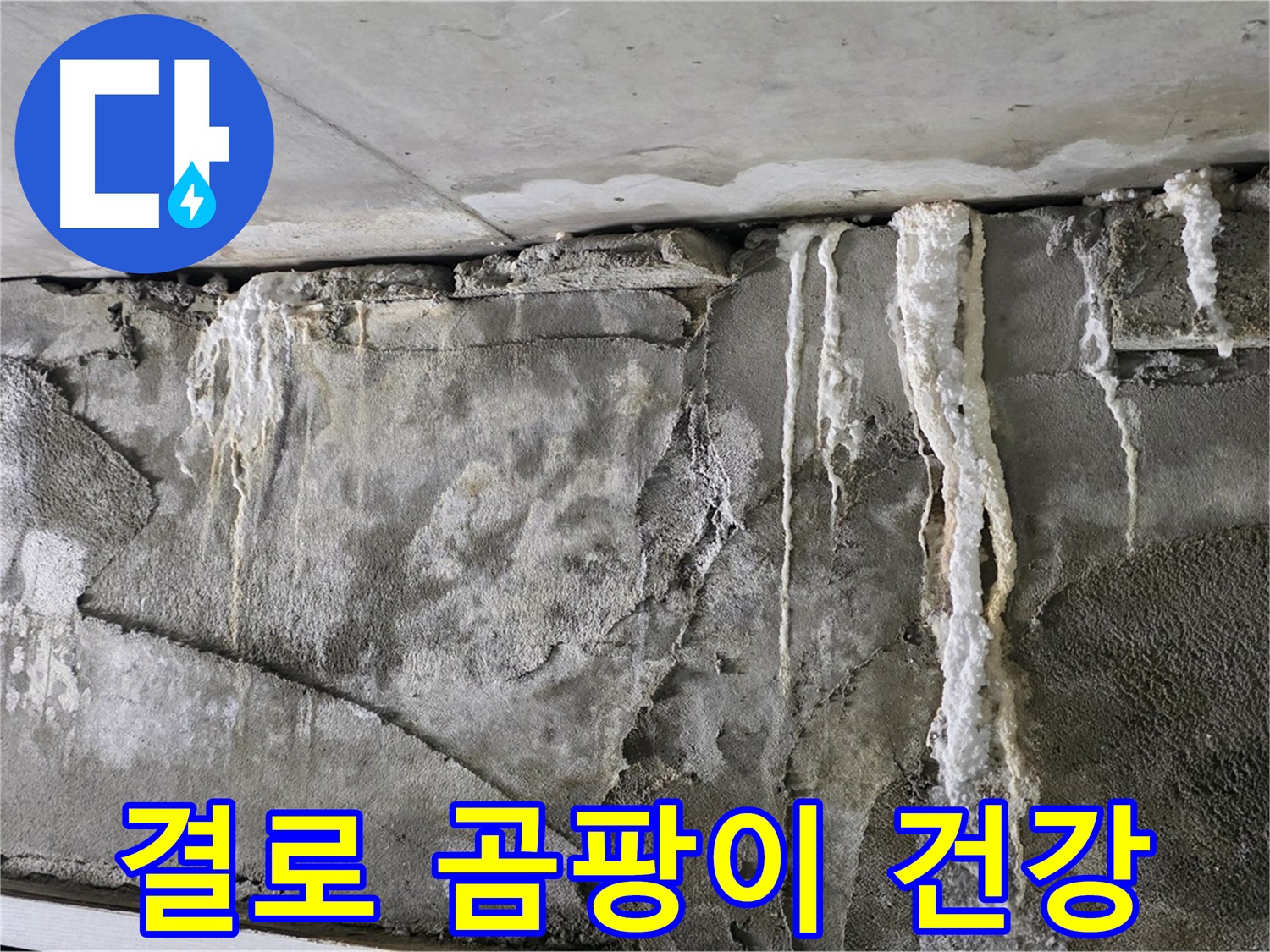 운중동 누수 - 결로와 곰팡이는 건강을 위협하는 요인