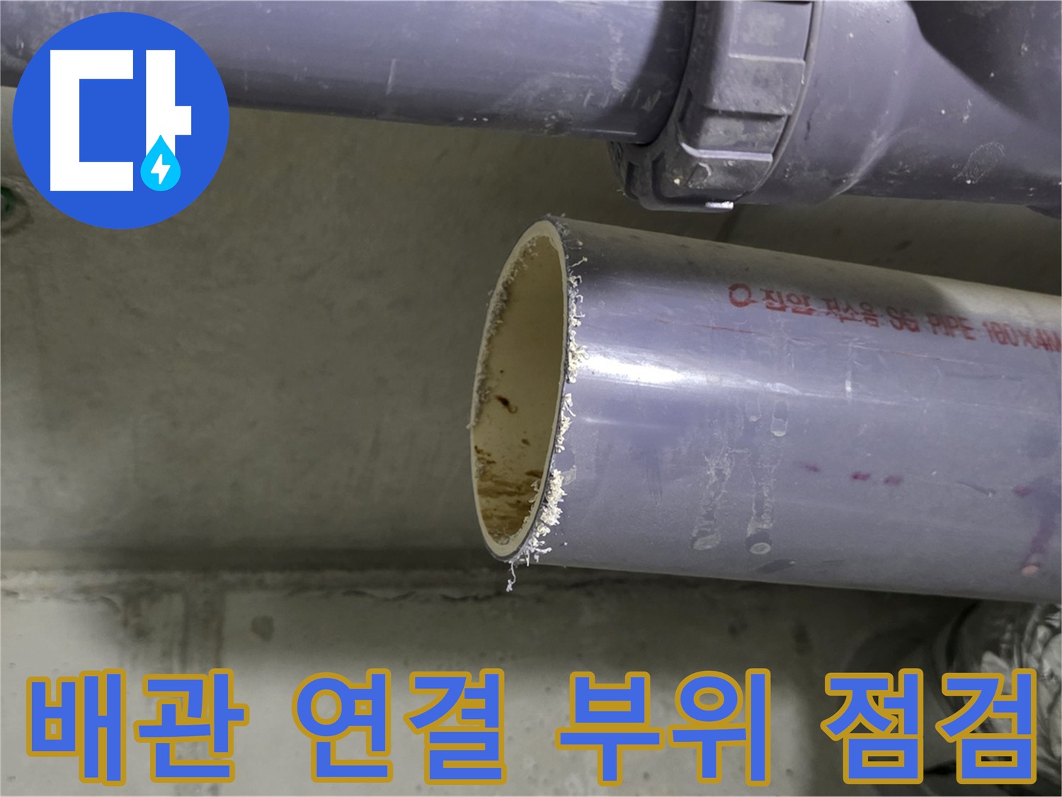 분당 누수 현장 - 배관 연결 부위를 세심하게 점검하는 전문가
