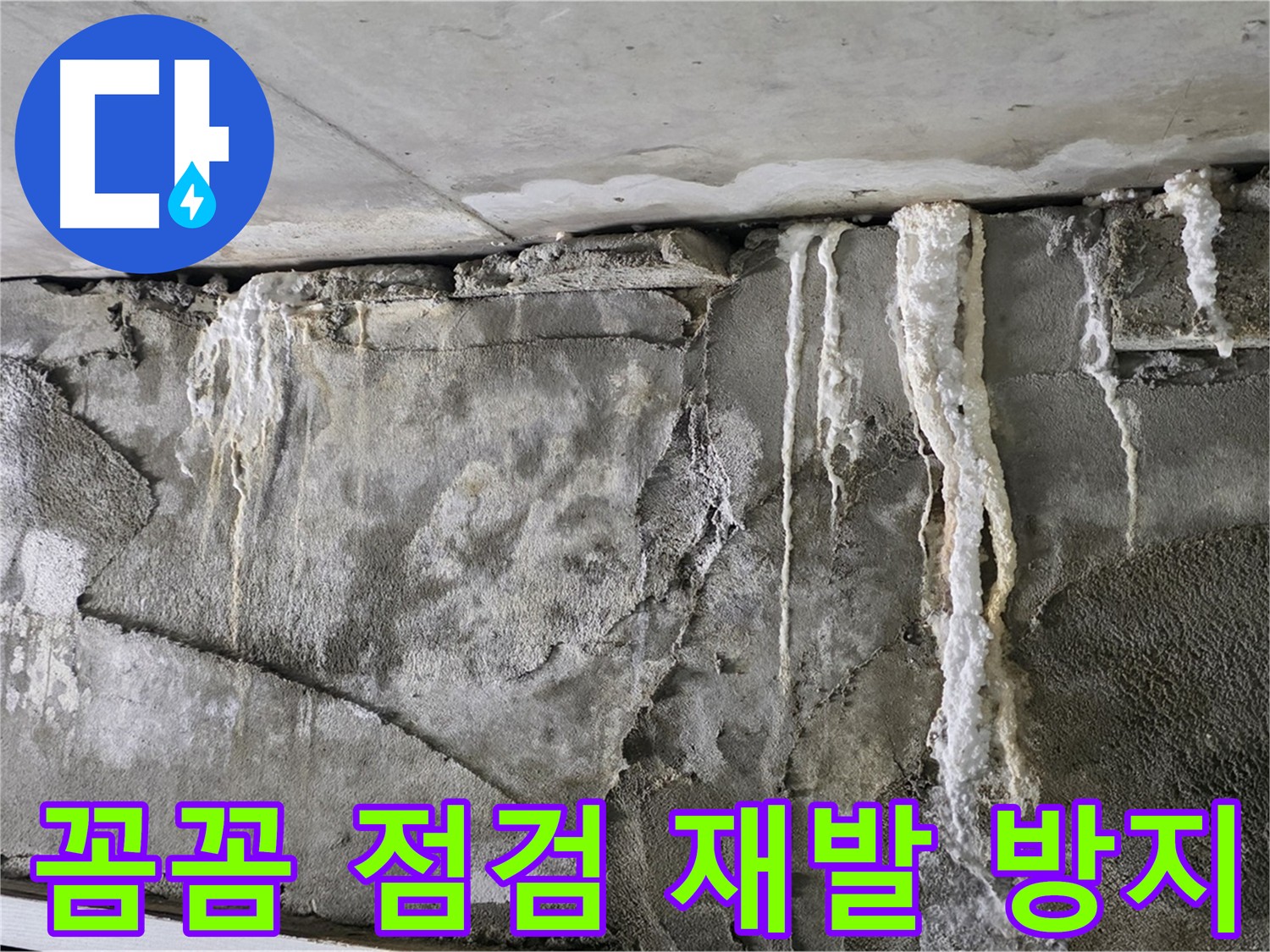 운중동 누수 해결 - 꼼꼼한 점검으로 누수 재발 방지