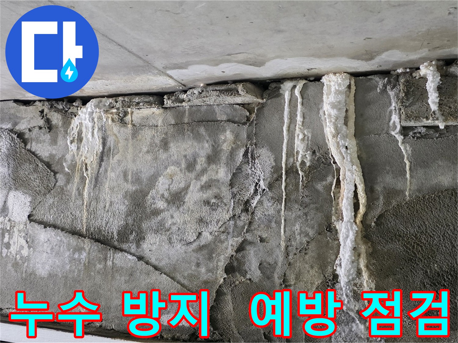 성남 누수 예방 점검 - 정기적인 관리로 건물 수명 연장
