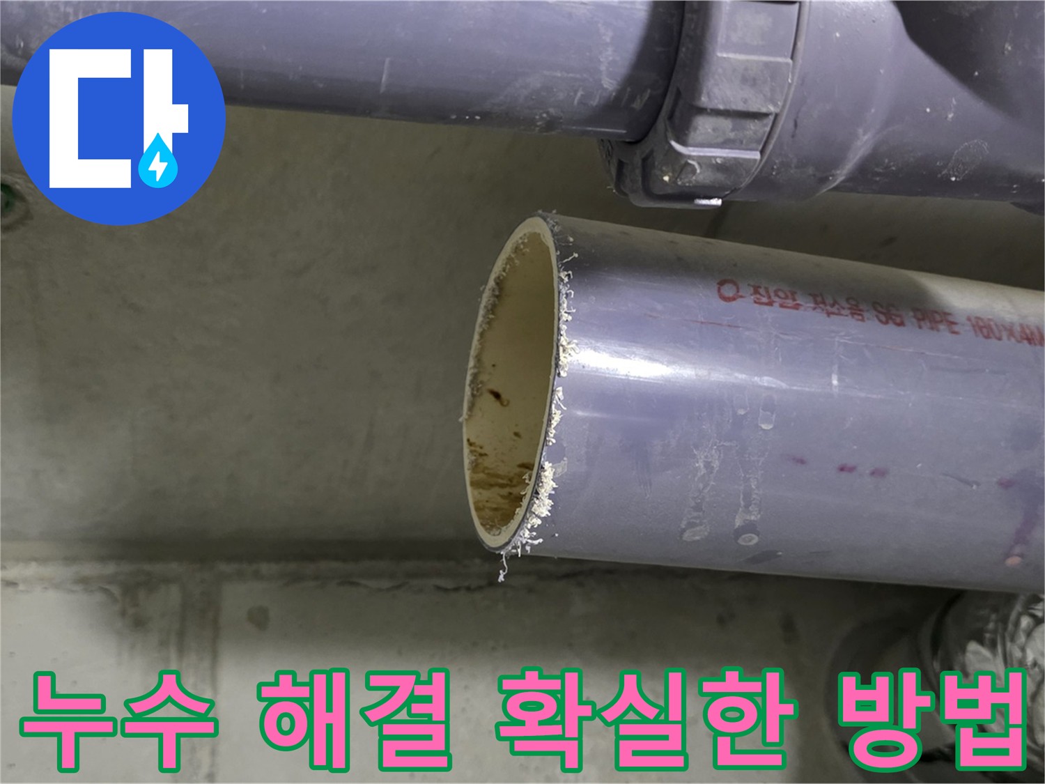 운중동 아파트 누수 현장 - 누수 문제를 해결하기 위해 배관을 점검하는 모습