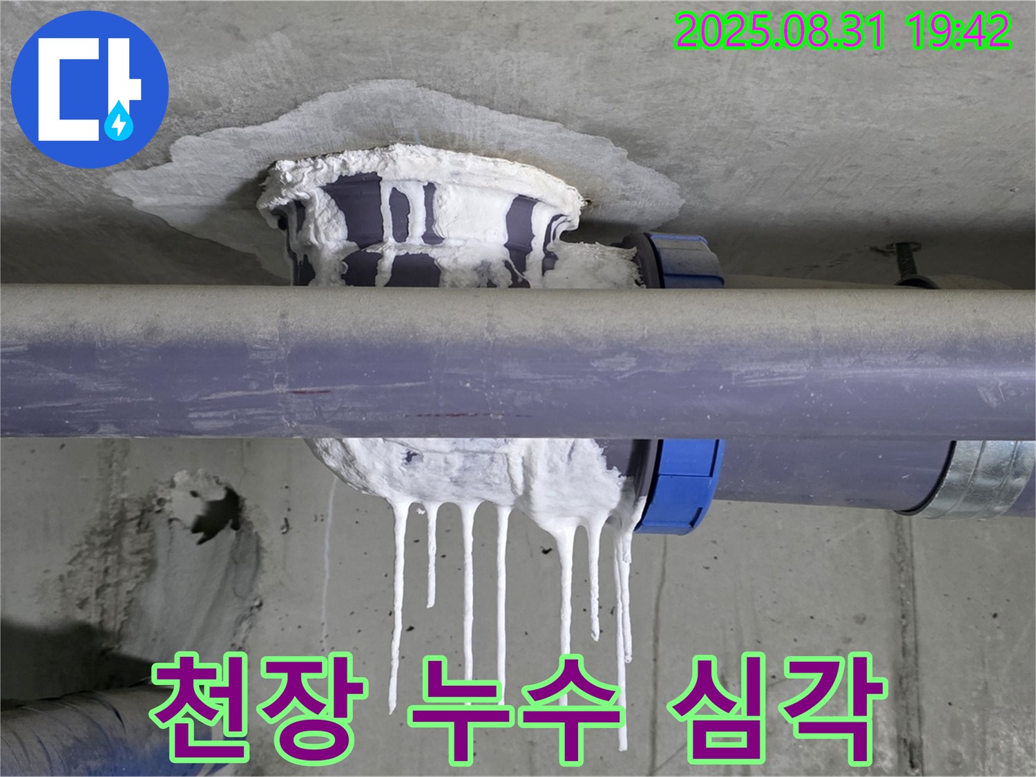 성남 분당 운중동 산운마을 배관 누수 - 천장에서 물이 심하게 떨어지는 긴급 상황, 24시간 상담 가능